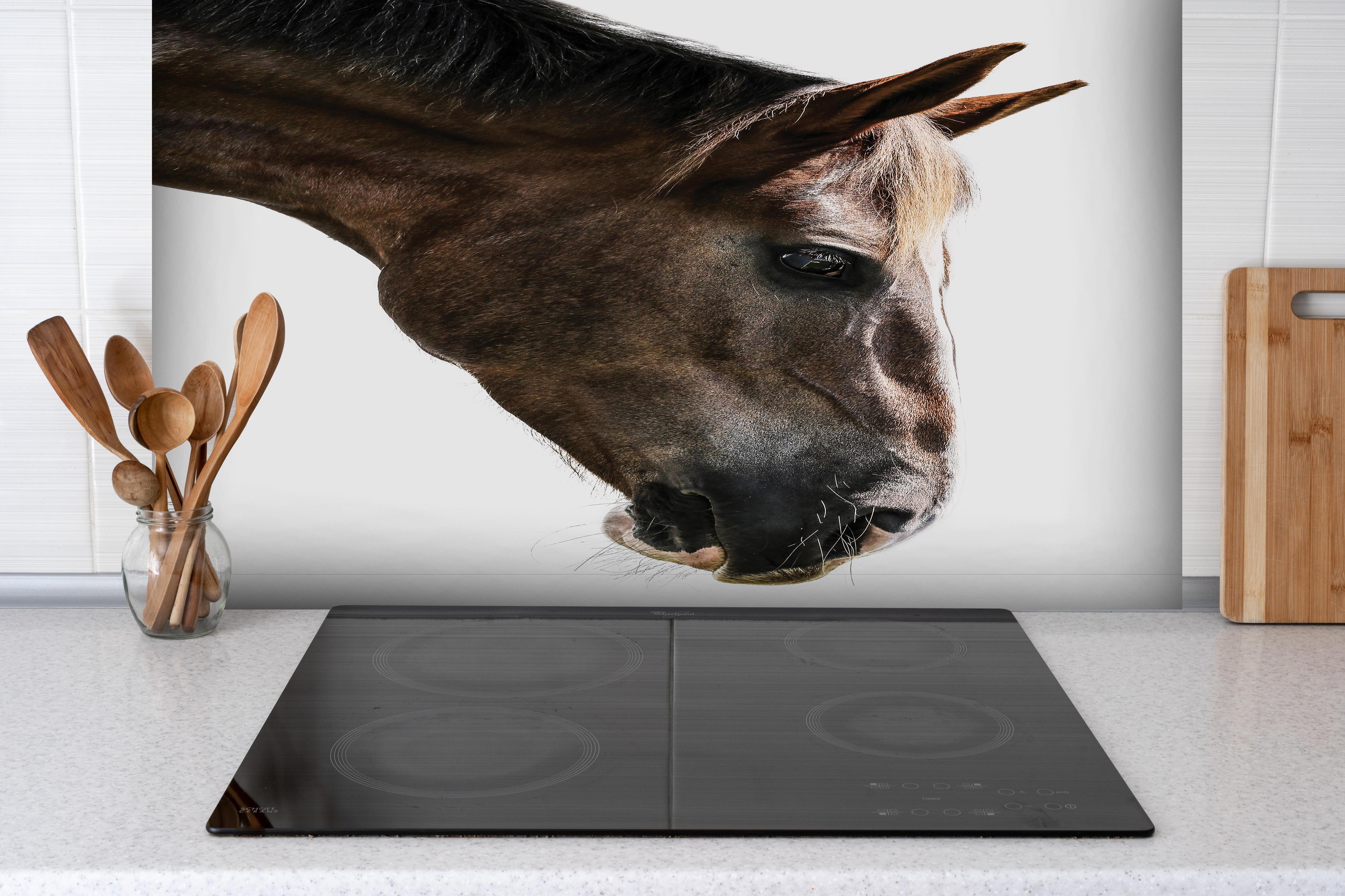 Spritzschutz - Detailreiches Braun-Weißes Pferdeportrait hinter einem Cerankochfeld zwischen Holz-Kochutensilien