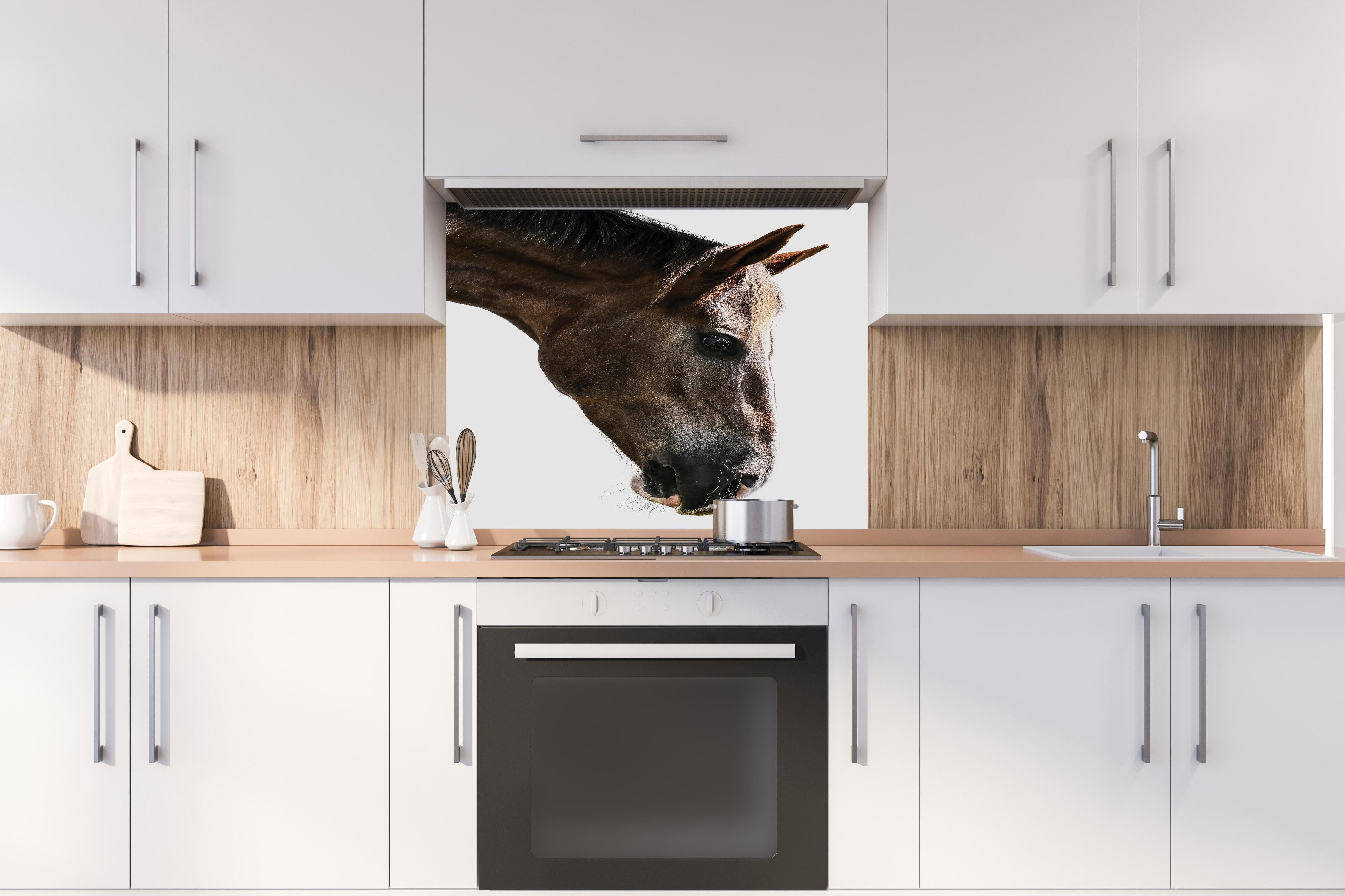 Spritzschutz - Detailreiches Braun-Weißes Pferdeportrait hinter einem Cerankochfeld zwischen Holz-Kochutensilien