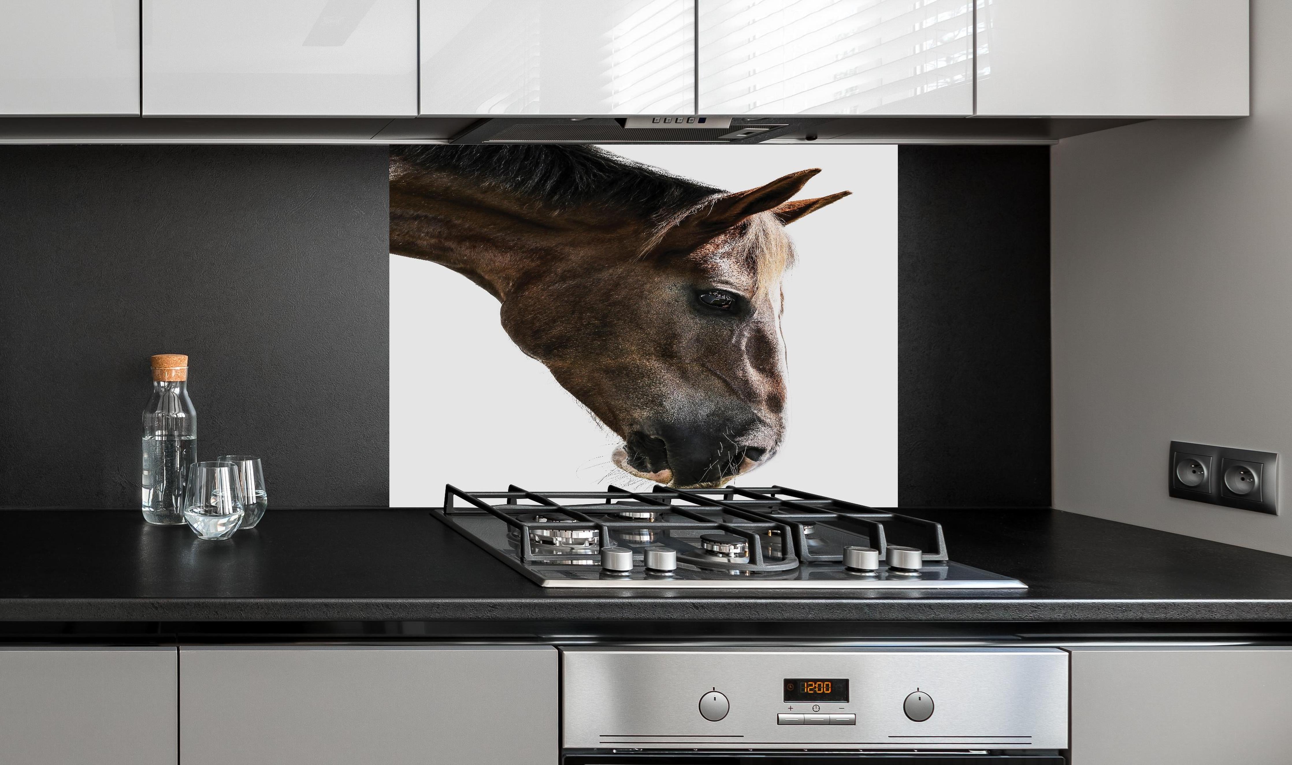 Spritzschutz - Detailreiches Braun-Weißes Pferdeportrait hinter einem Cerankochfeld zwischen Holz-Kochutensilien