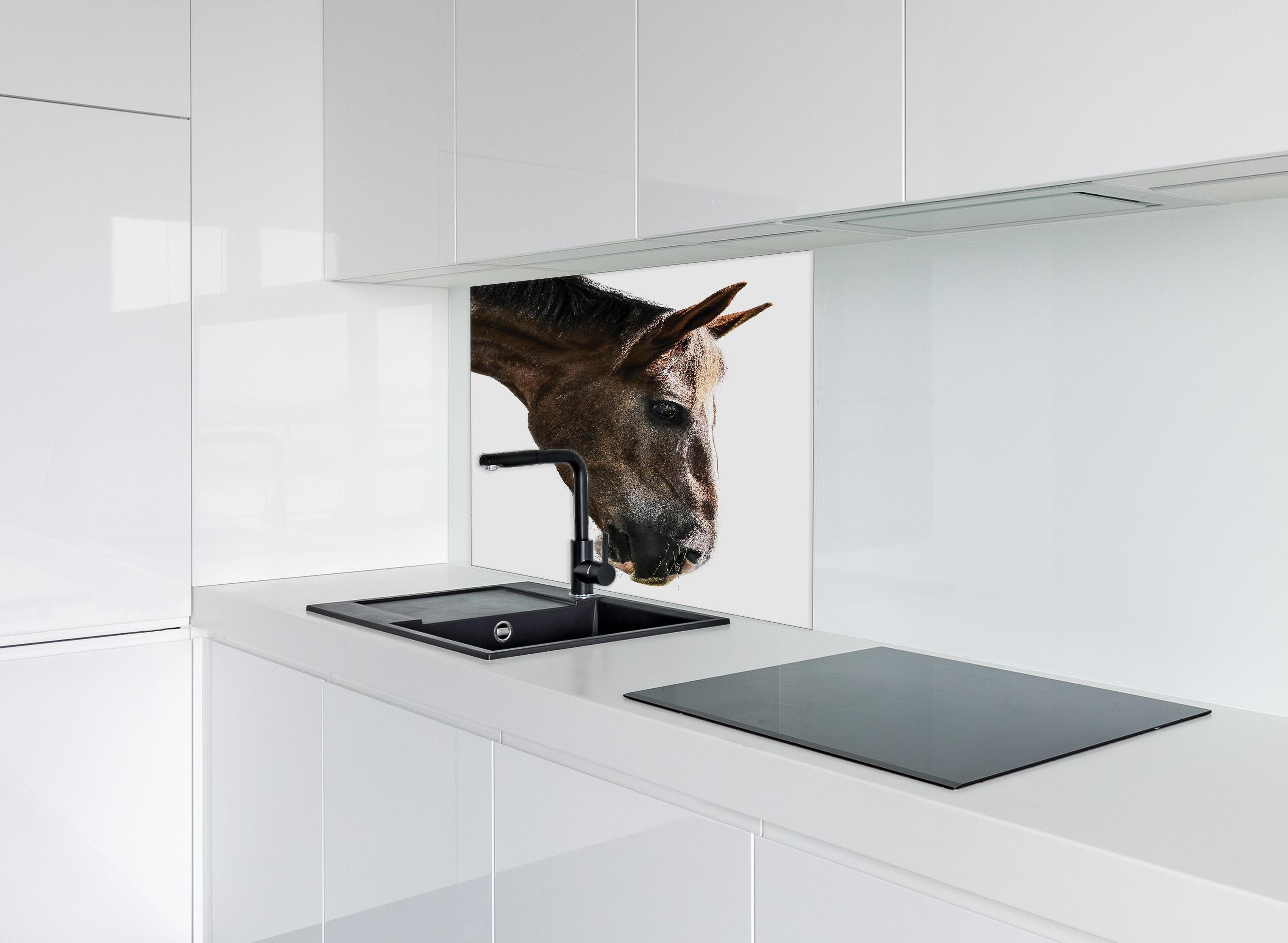 Spritzschutz - Detailreiches Braun-Weißes Pferdeportrait hinter einem Cerankochfeld zwischen Holz-Kochutensilien
