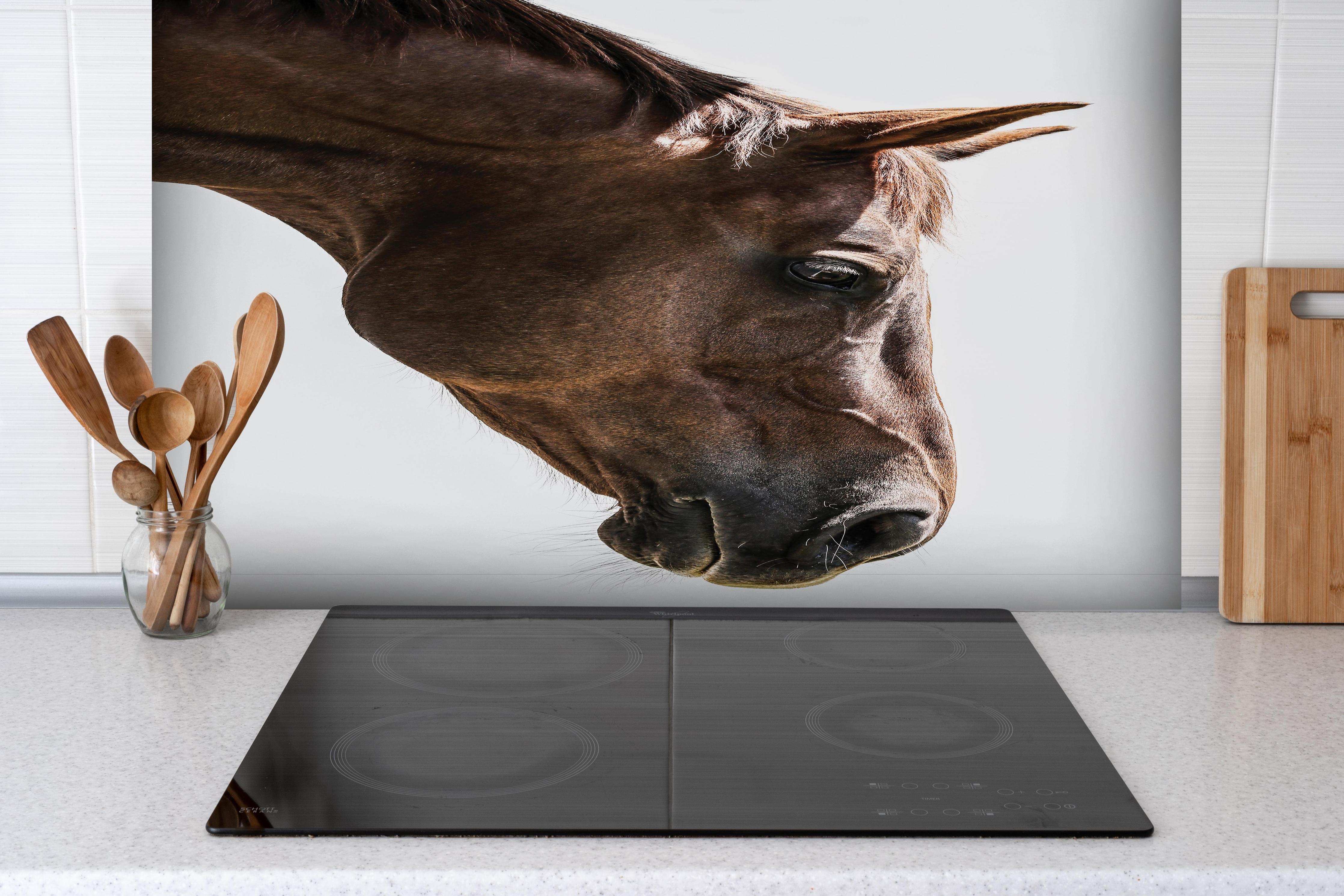 Spritzschutz - Detailreiches Pferdeauge, Makro, Hellbraun hinter einem Cerankochfeld zwischen Holz-Kochutensilien