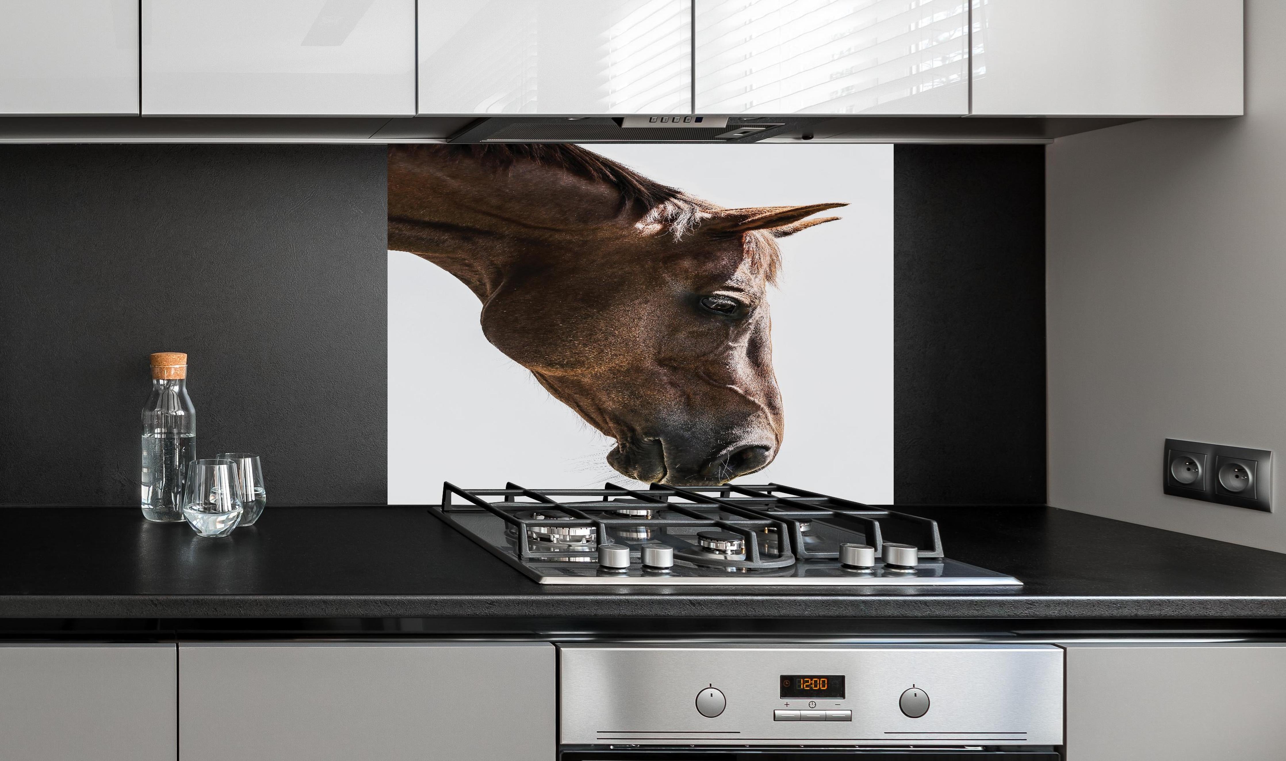 Spritzschutz - Detailreiches Pferdeauge, Makro, Hellbraun hinter einem Cerankochfeld zwischen Holz-Kochutensilien