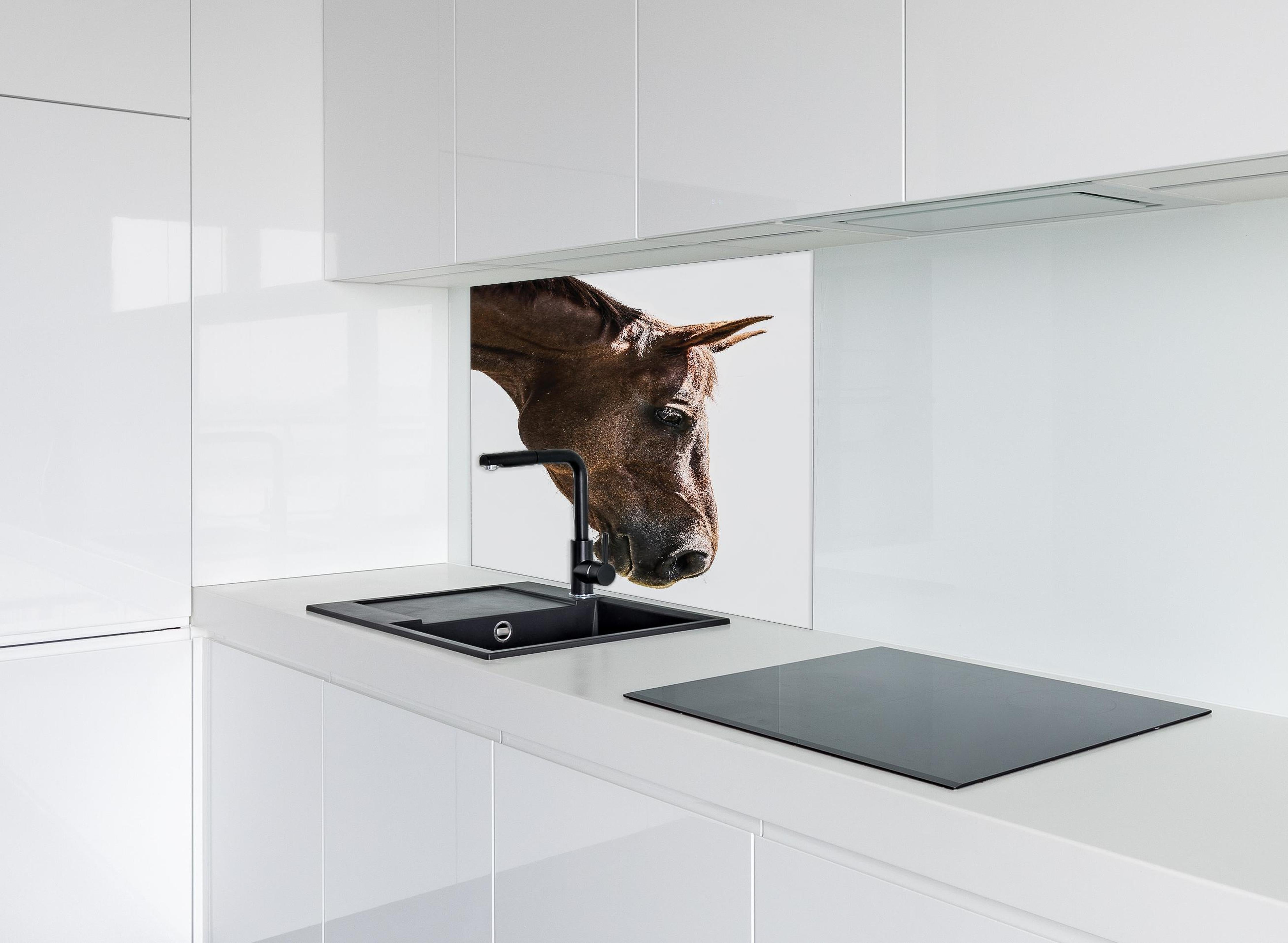 Spritzschutz - Detailreiches Pferdeauge, Makro, Hellbraun hinter einem Cerankochfeld zwischen Holz-Kochutensilien