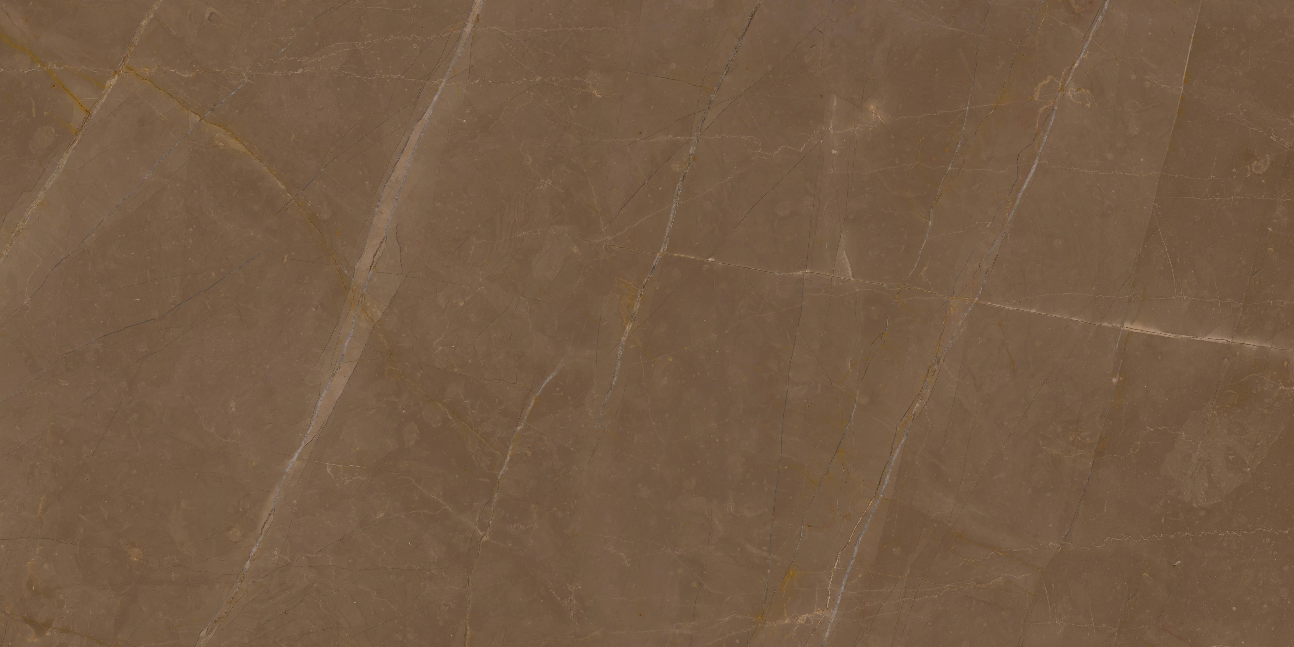 Spritzschutz-Dunkelbrauner Marmor