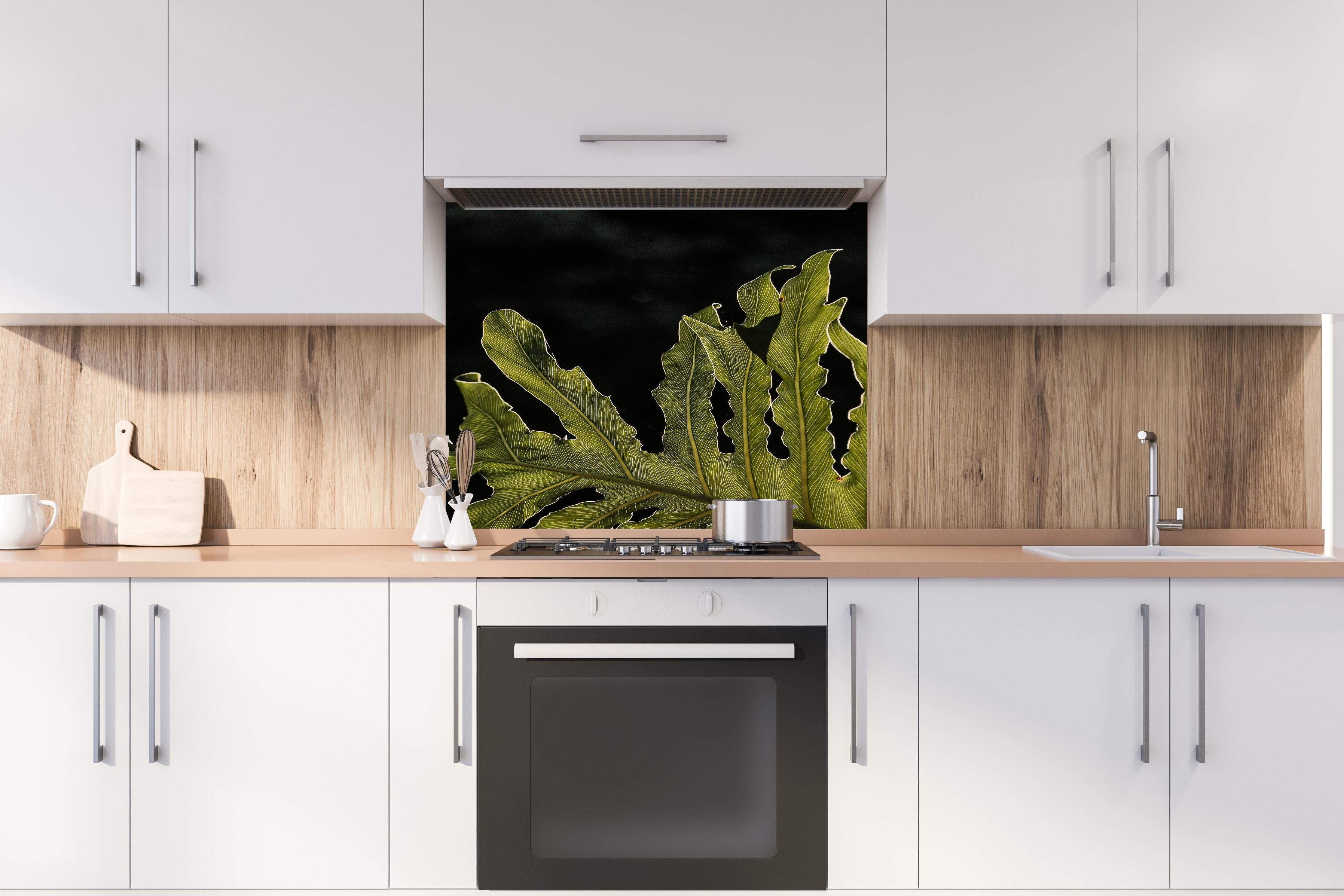 Spritzschutz - Dunkelgrün Beleuchtetes Blatt, Schwarzer Hintergrund hinter einem Cerankochfeld zwischen Holz-Kochutensilien