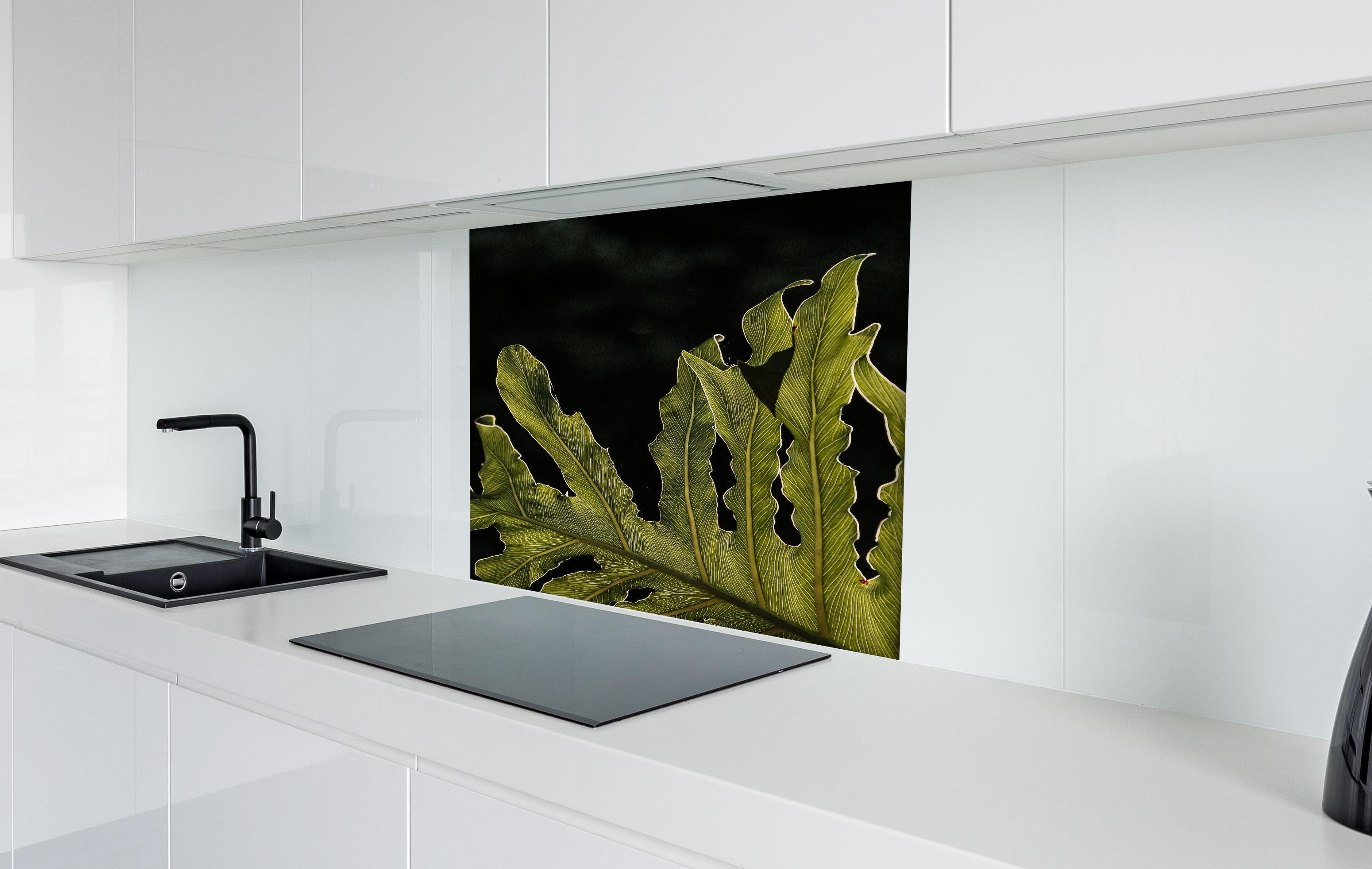 Spritzschutz - Dunkelgrün Beleuchtetes Blatt, Schwarzer Hintergrund hinter einem Cerankochfeld zwischen Holz-Kochutensilien