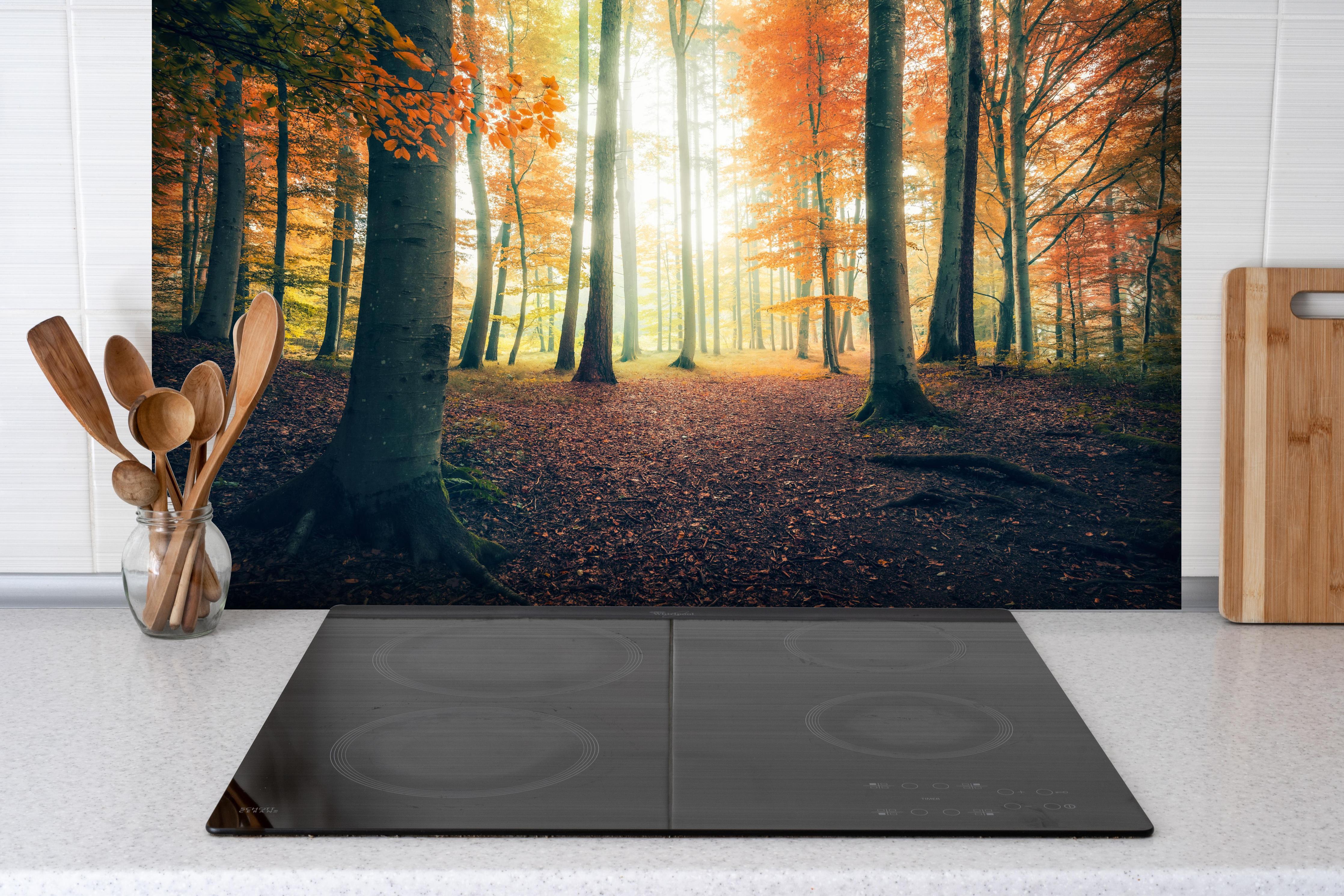 Spritzschutz - Dunkler Wald im Herbst hinter einem Cerankochfeld zwischen Holz-Kochutensilien