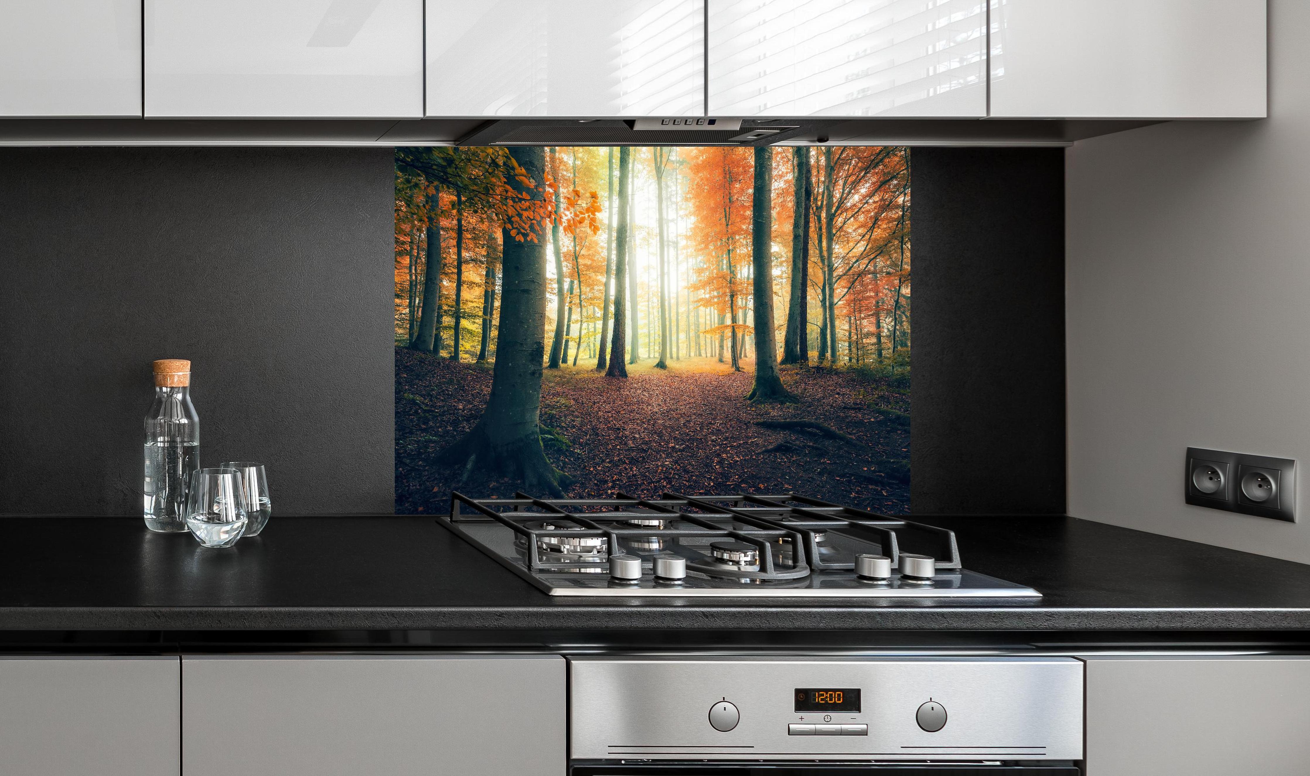 Spritzschutz - Dunkler Wald im Herbst hinter einem Cerankochfeld zwischen Holz-Kochutensilien