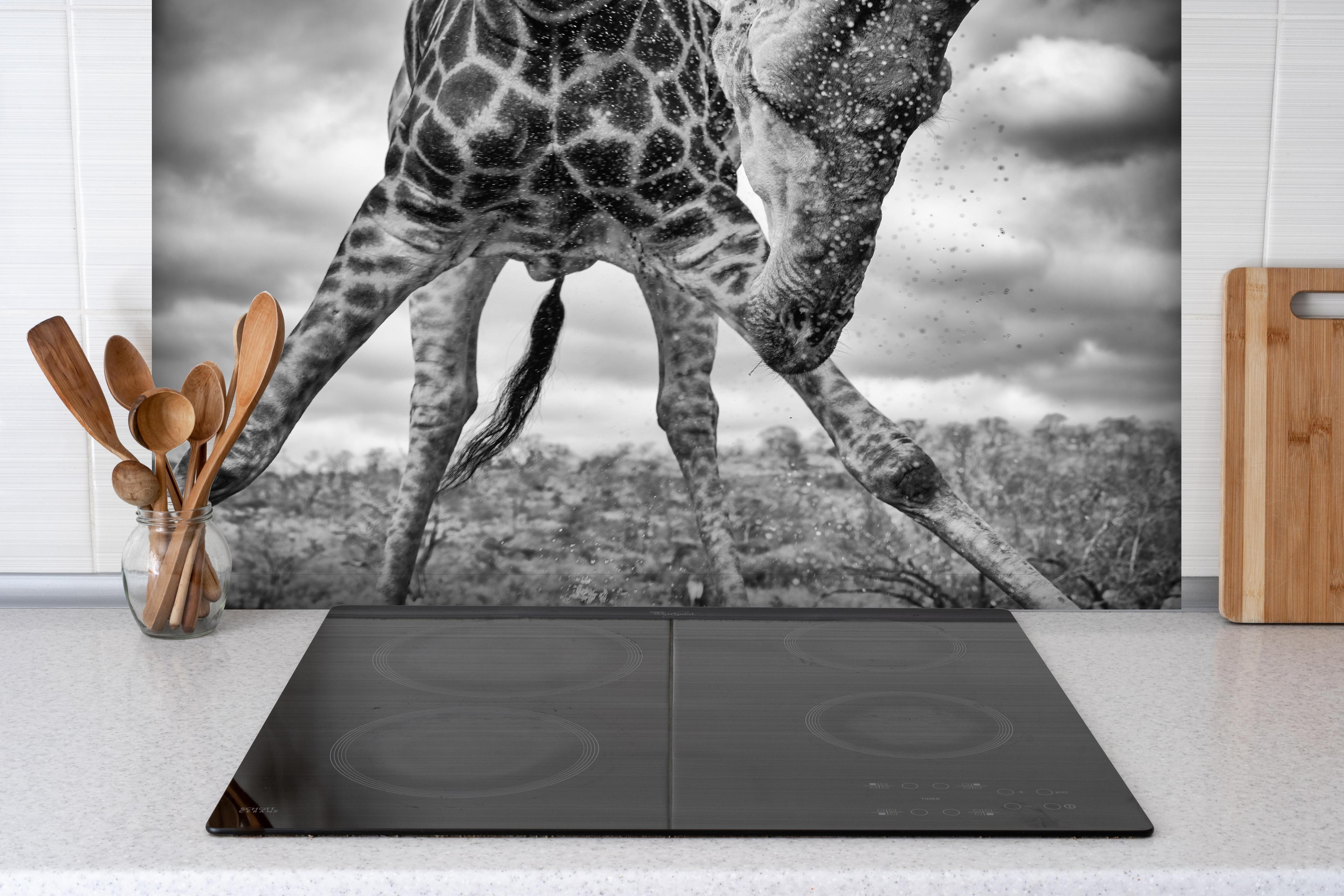 Spritzschutz - Dynamische Giraffe Schwarz-Weiß Momentaufnahme hinter einem Cerankochfeld zwischen Holz-Kochutensilien
