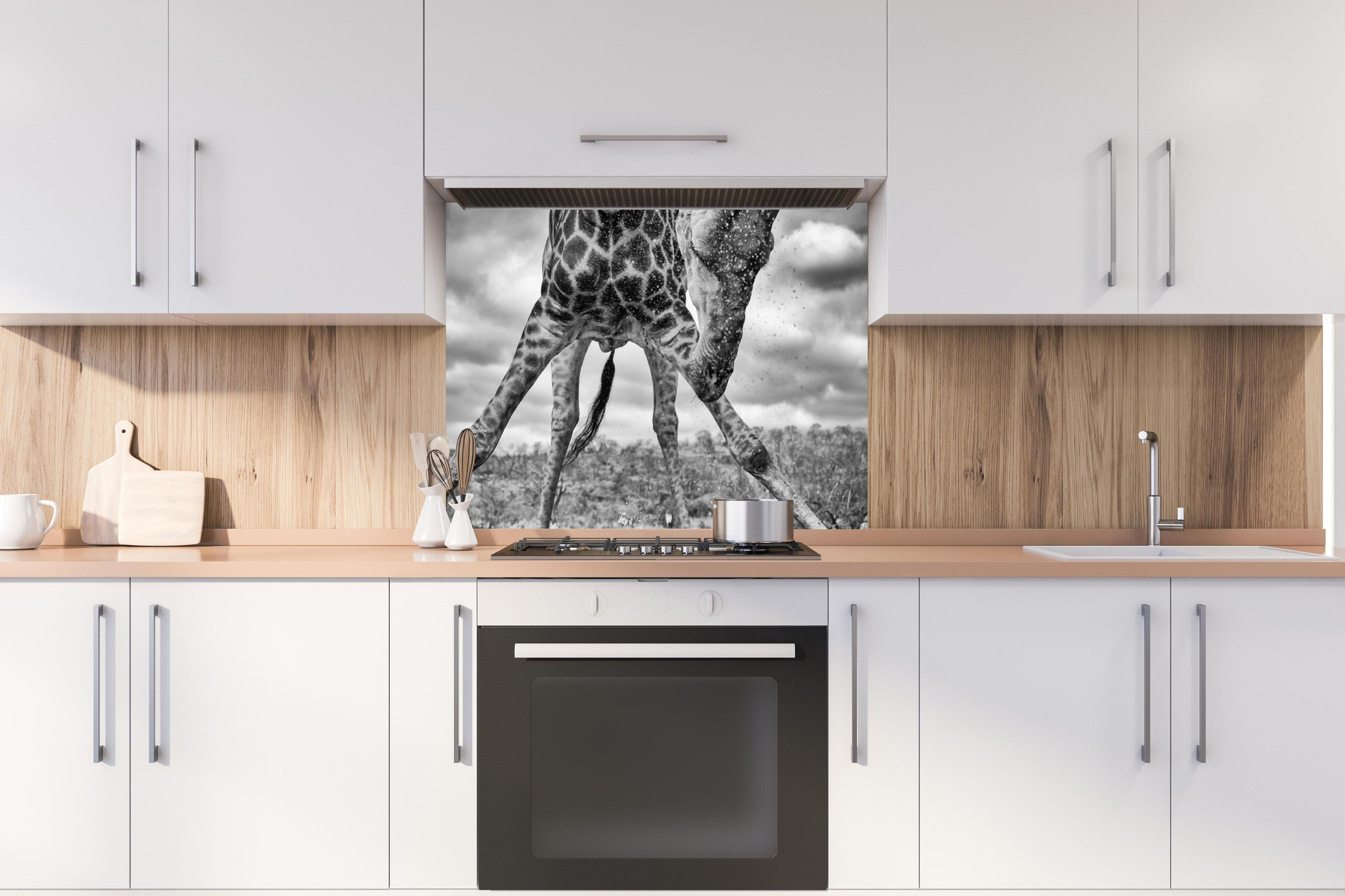 Spritzschutz - Dynamische Giraffe Schwarz-Weiß Momentaufnahme hinter einem Cerankochfeld zwischen Holz-Kochutensilien