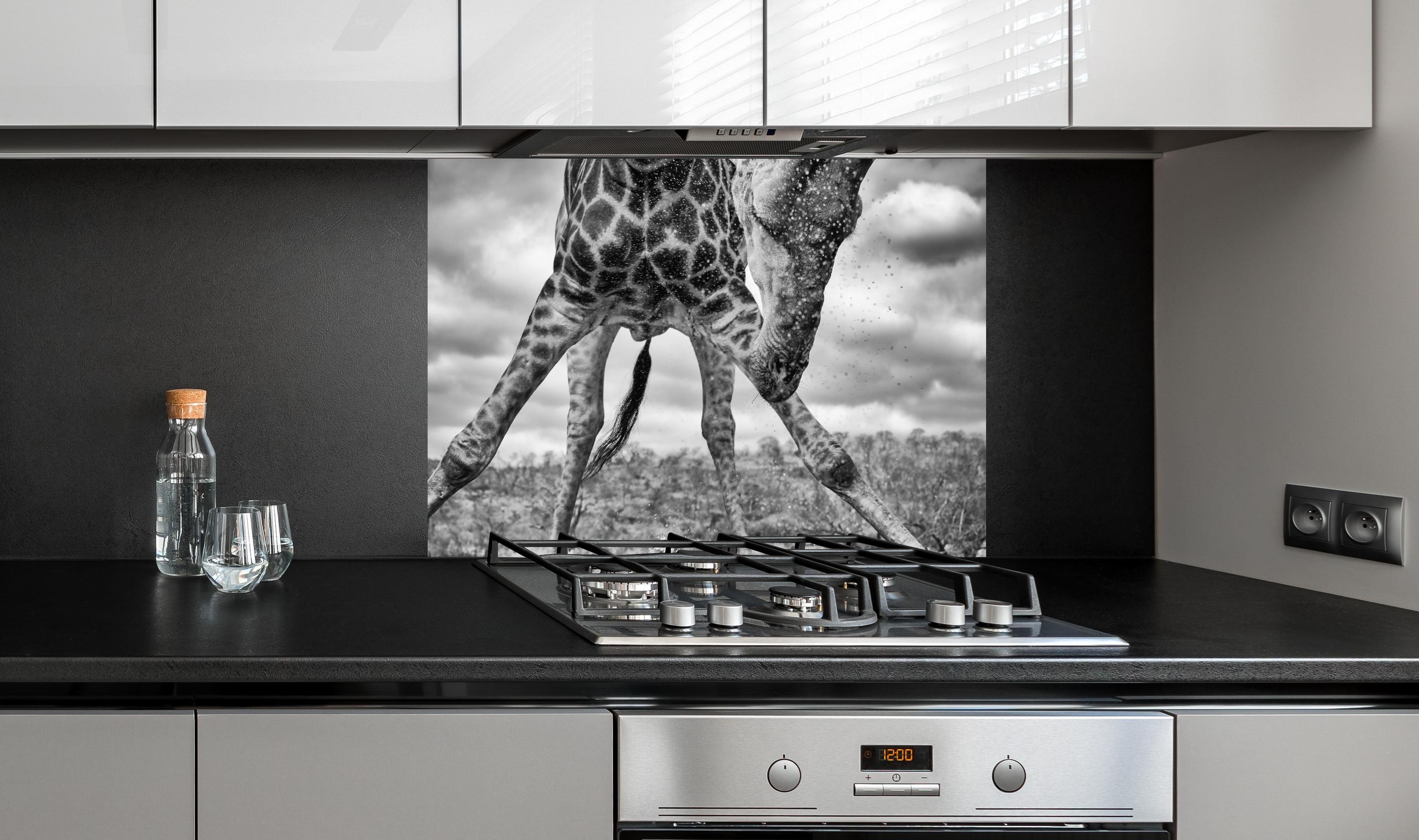 Spritzschutz - Dynamische Giraffe Schwarz-Weiß Momentaufnahme hinter einem Cerankochfeld zwischen Holz-Kochutensilien