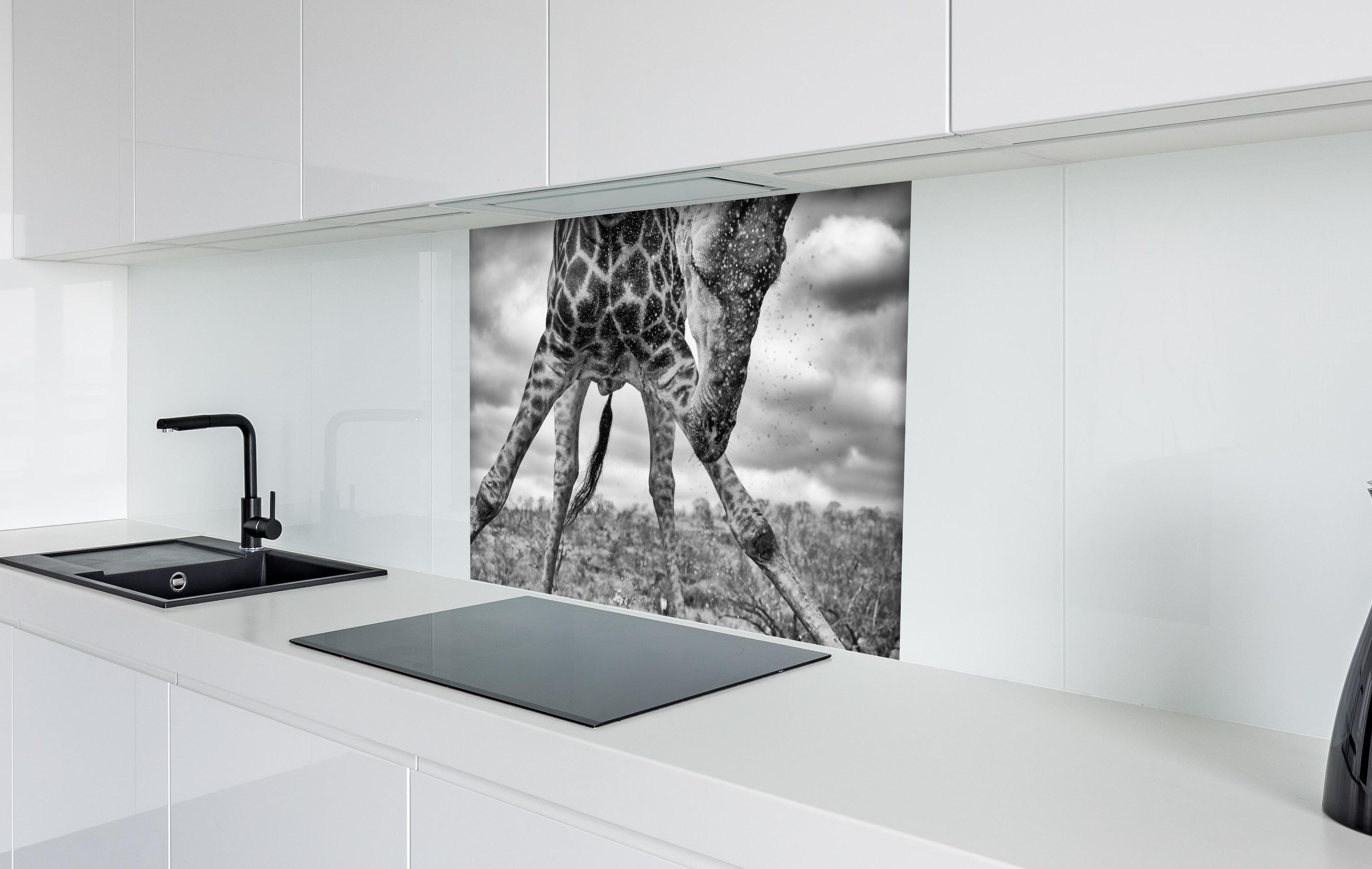 Spritzschutz - Dynamische Giraffe Schwarz-Weiß Momentaufnahme hinter einem Cerankochfeld zwischen Holz-Kochutensilien