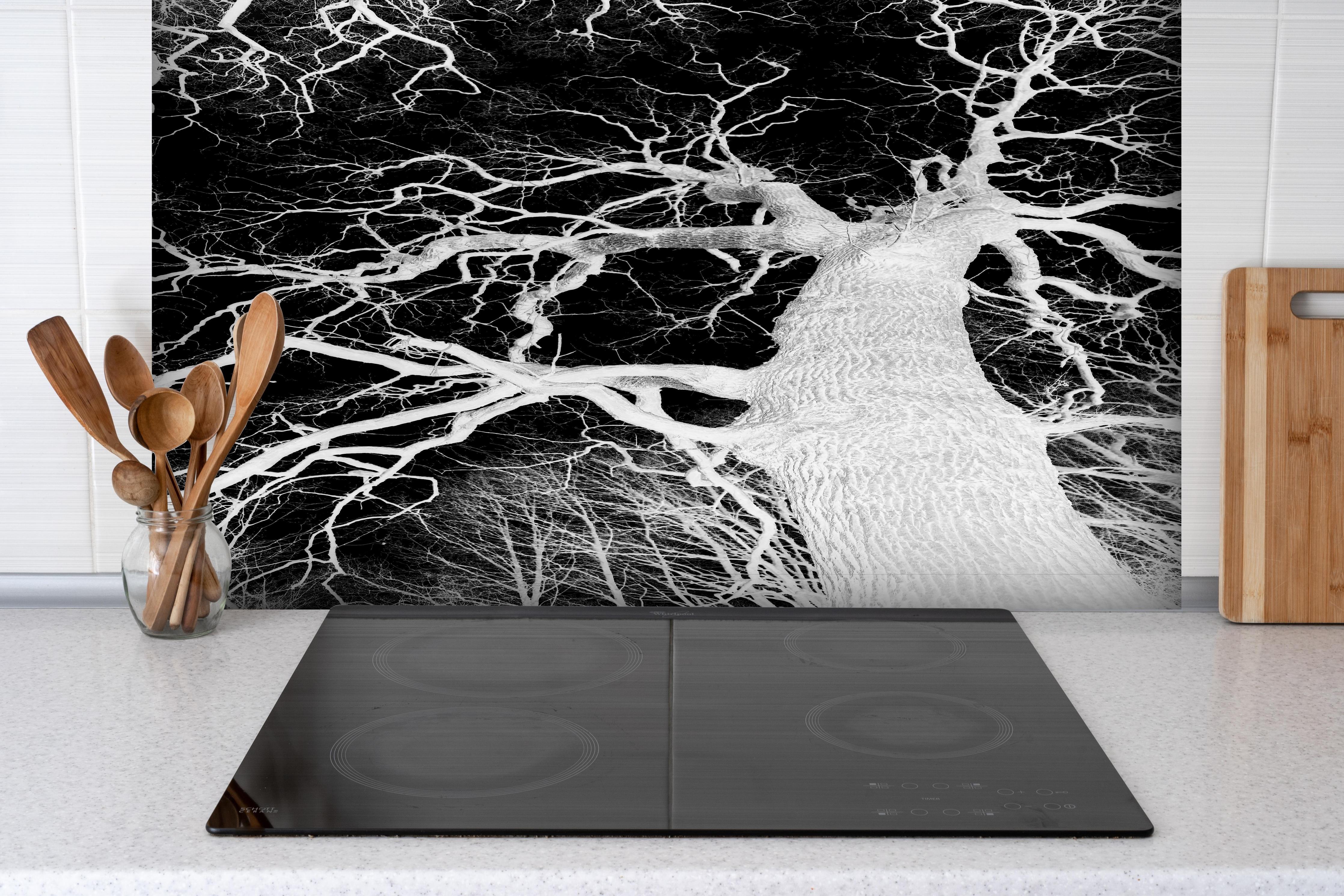 Spritzschutz - Eichenbaum schwarz, weiß im Winter hinter einem Cerankochfeld zwischen Holz-Kochutensilien