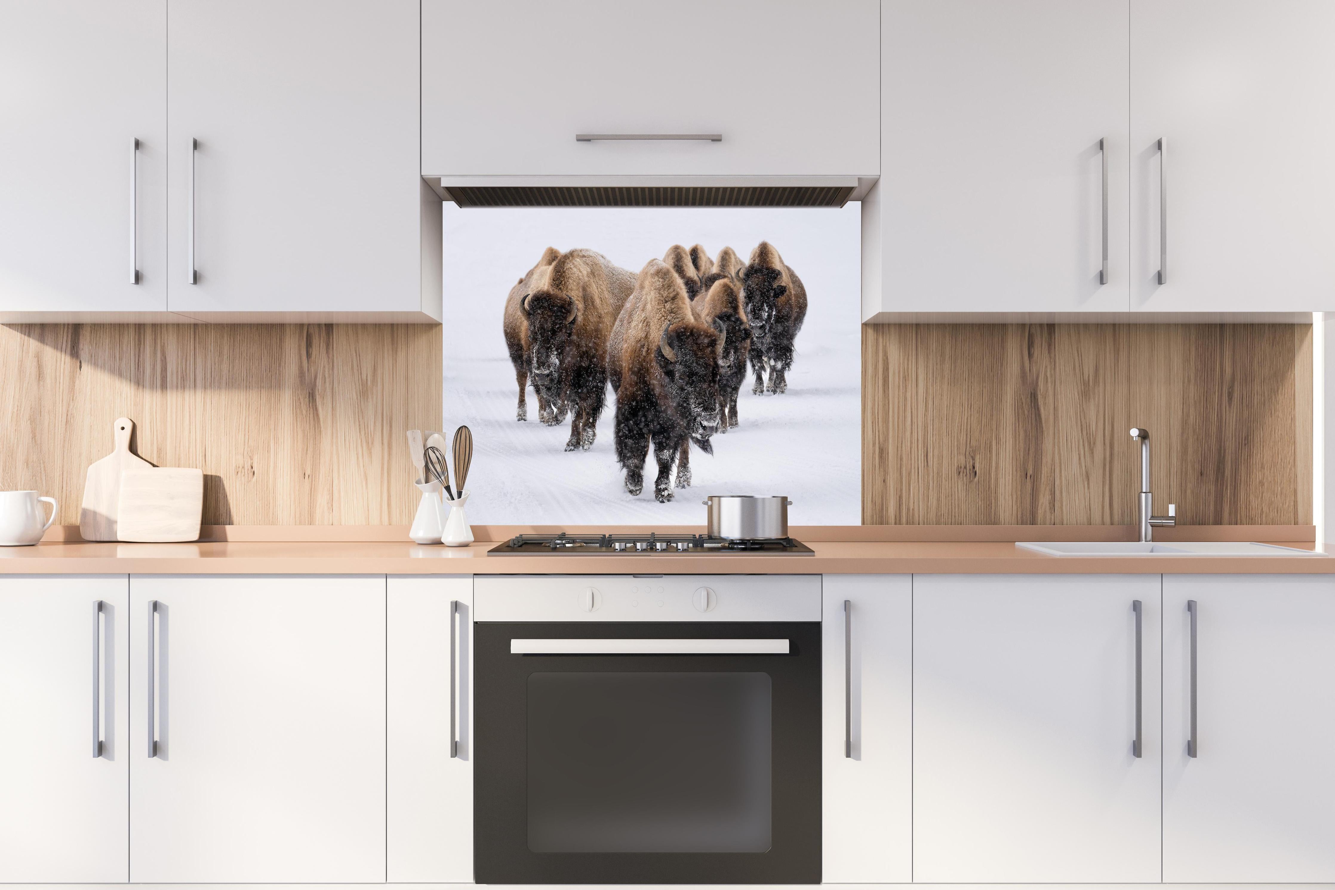 Spritzschutz - Eine Bison Herde hinter einem Cerankochfeld zwischen Holz-Kochutensilien
