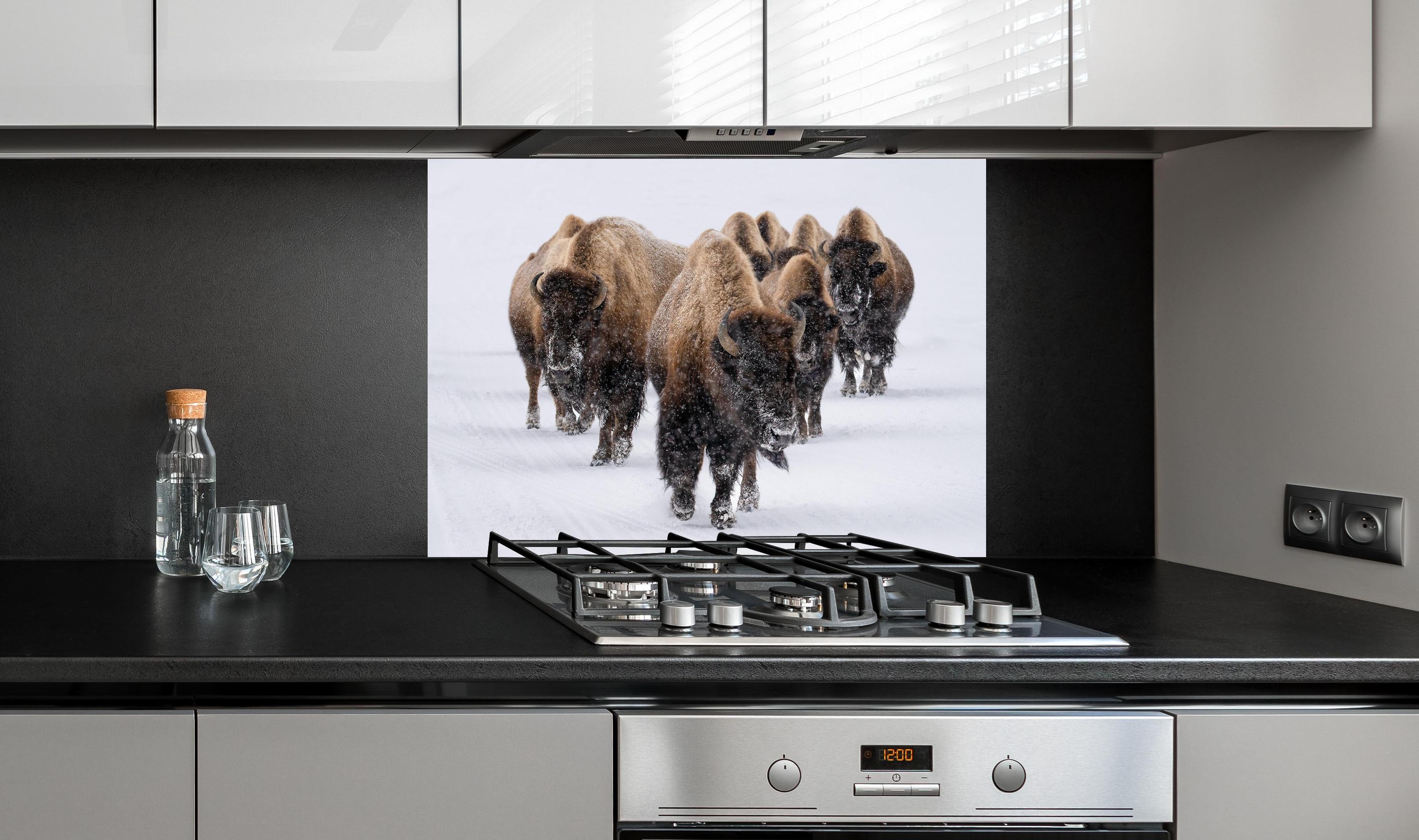 Spritzschutz - Eine Bison Herde hinter einem Cerankochfeld zwischen Holz-Kochutensilien