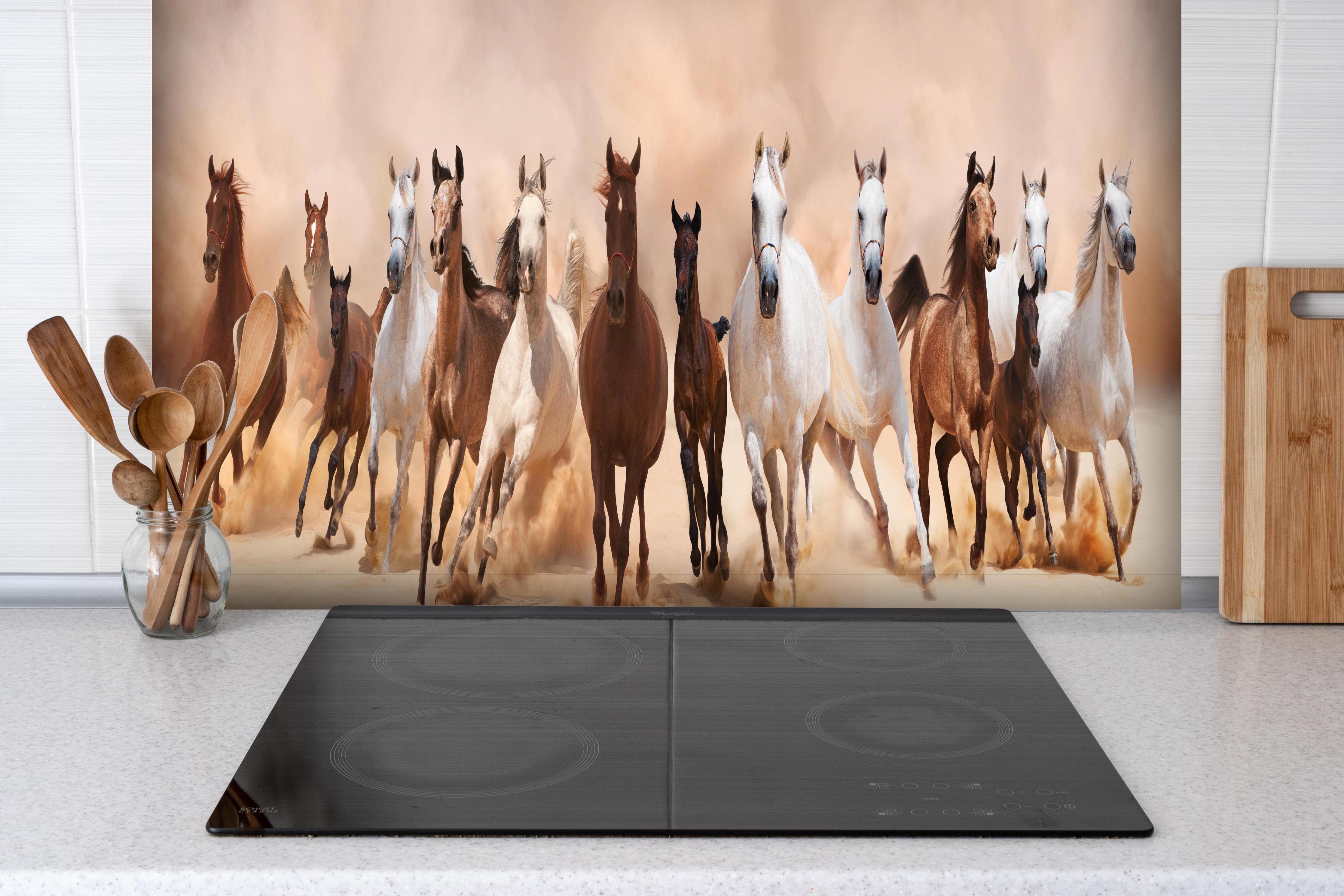 Spritzschutz - Eine Herde von Pferden hinter einem Cerankochfeld zwischen Holz-Kochutensilien