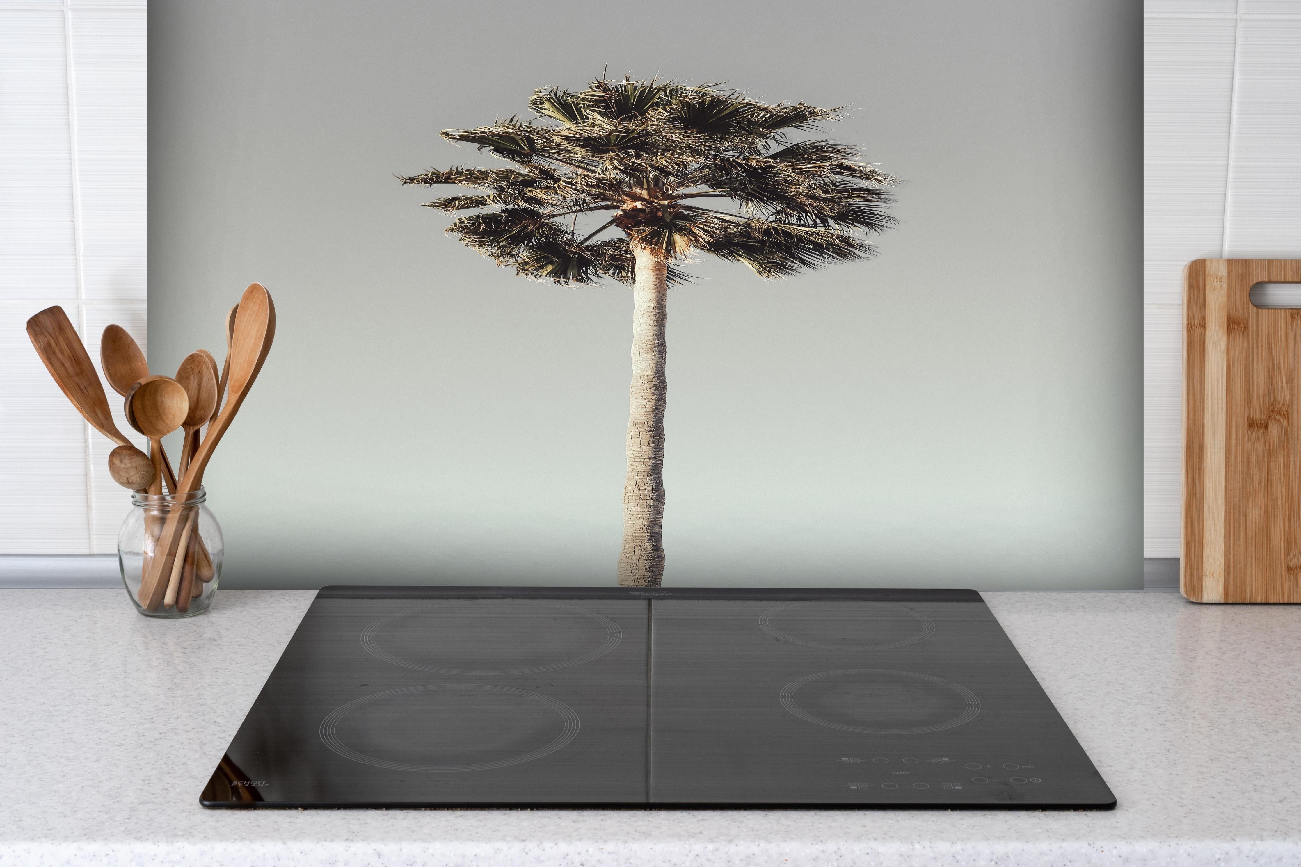 Spritzschutz - Einfache Palme hinter einem Cerankochfeld zwischen Holz-Kochutensilien
