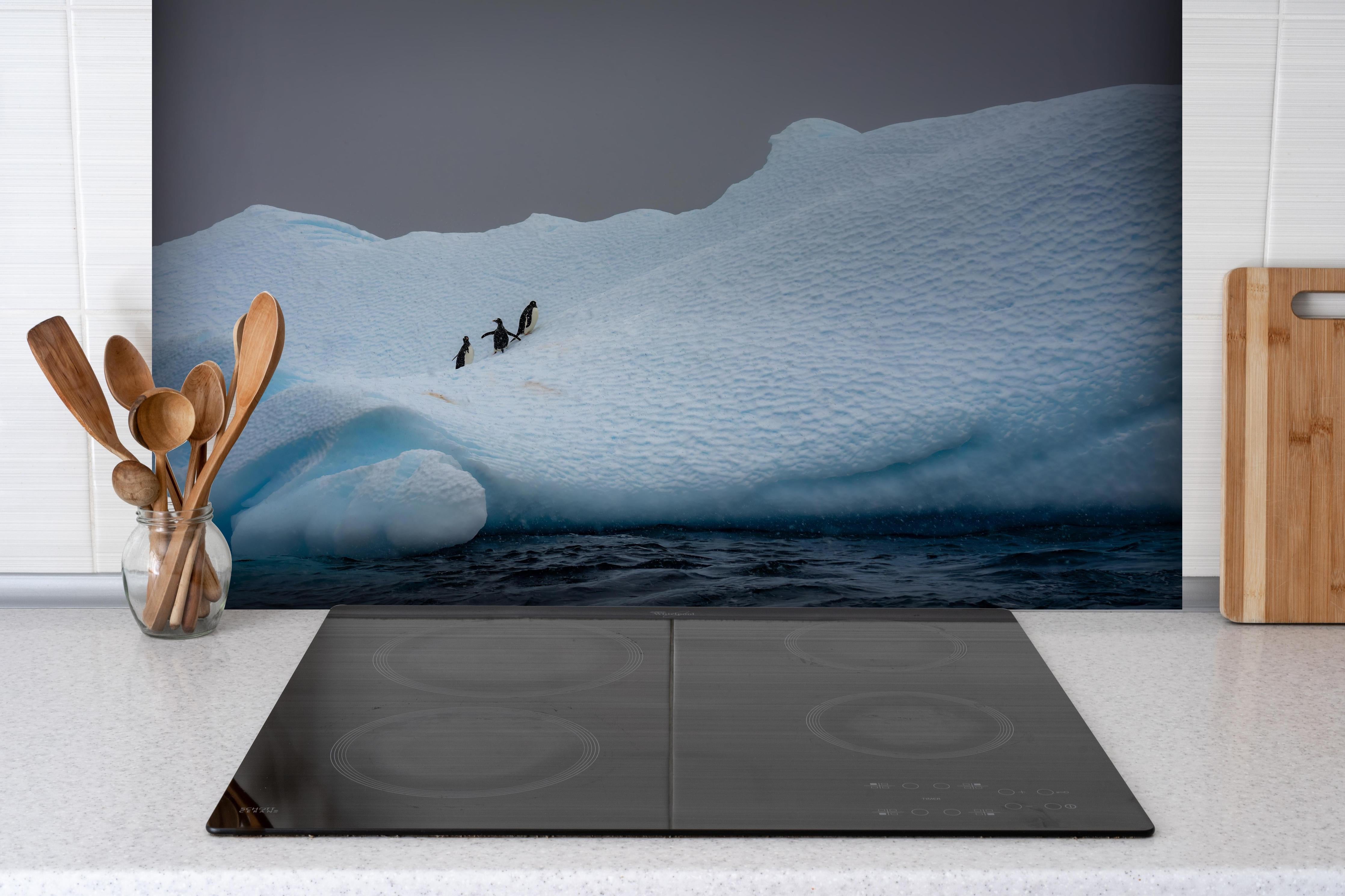 Spritzschutz - Eisige Region - Südpol hinter einem Cerankochfeld zwischen Holz-Kochutensilien