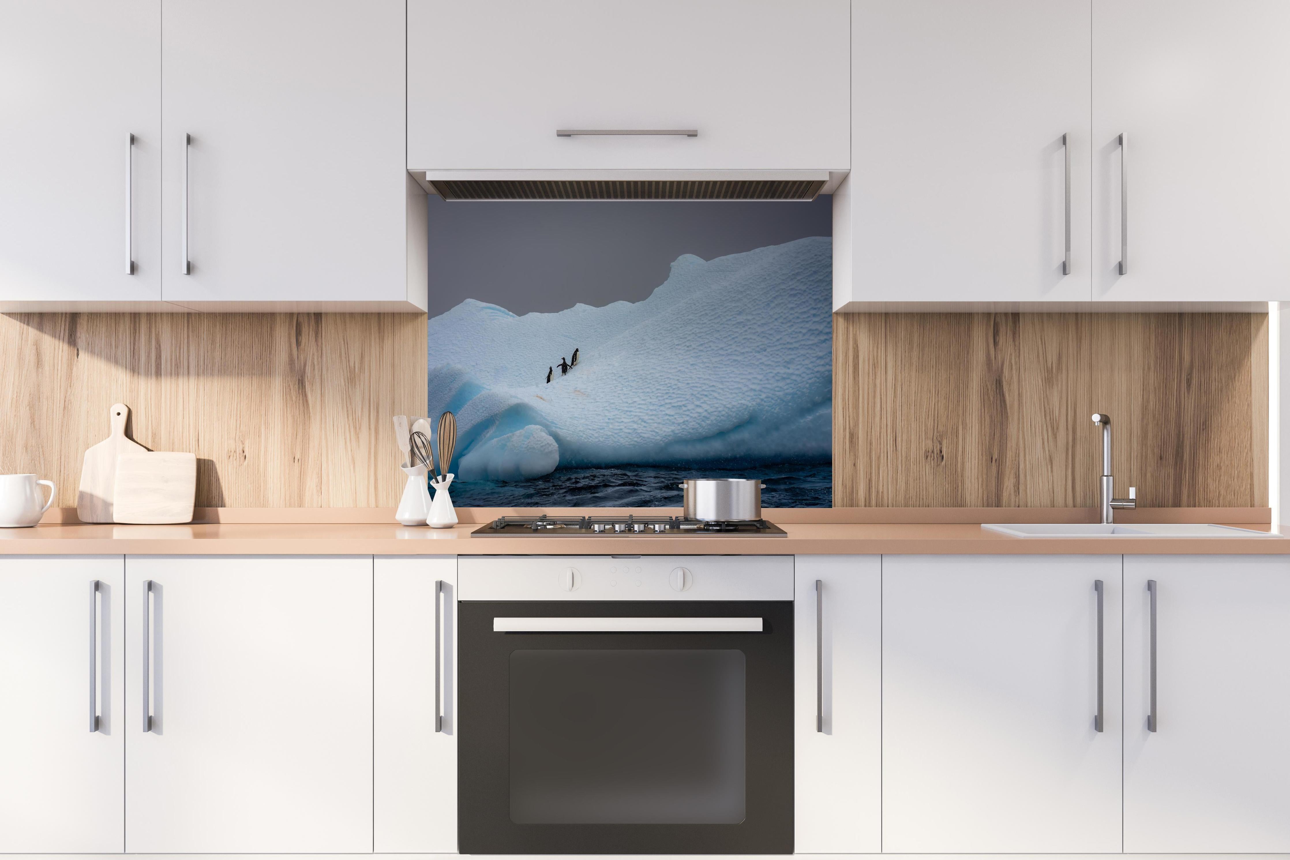 Spritzschutz - Eisige Region - Südpol hinter einem Cerankochfeld zwischen Holz-Kochutensilien