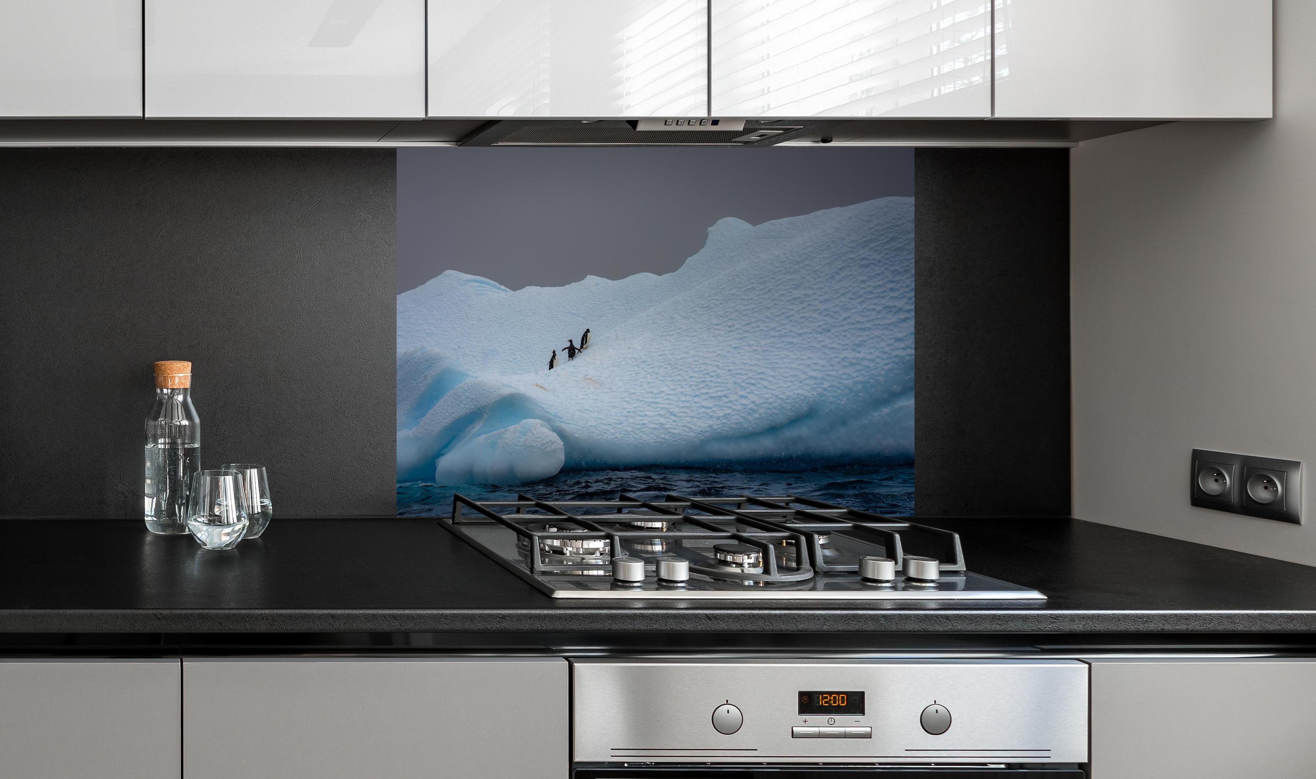 Spritzschutz - Eisige Region - Südpol hinter einem Cerankochfeld zwischen Holz-Kochutensilien