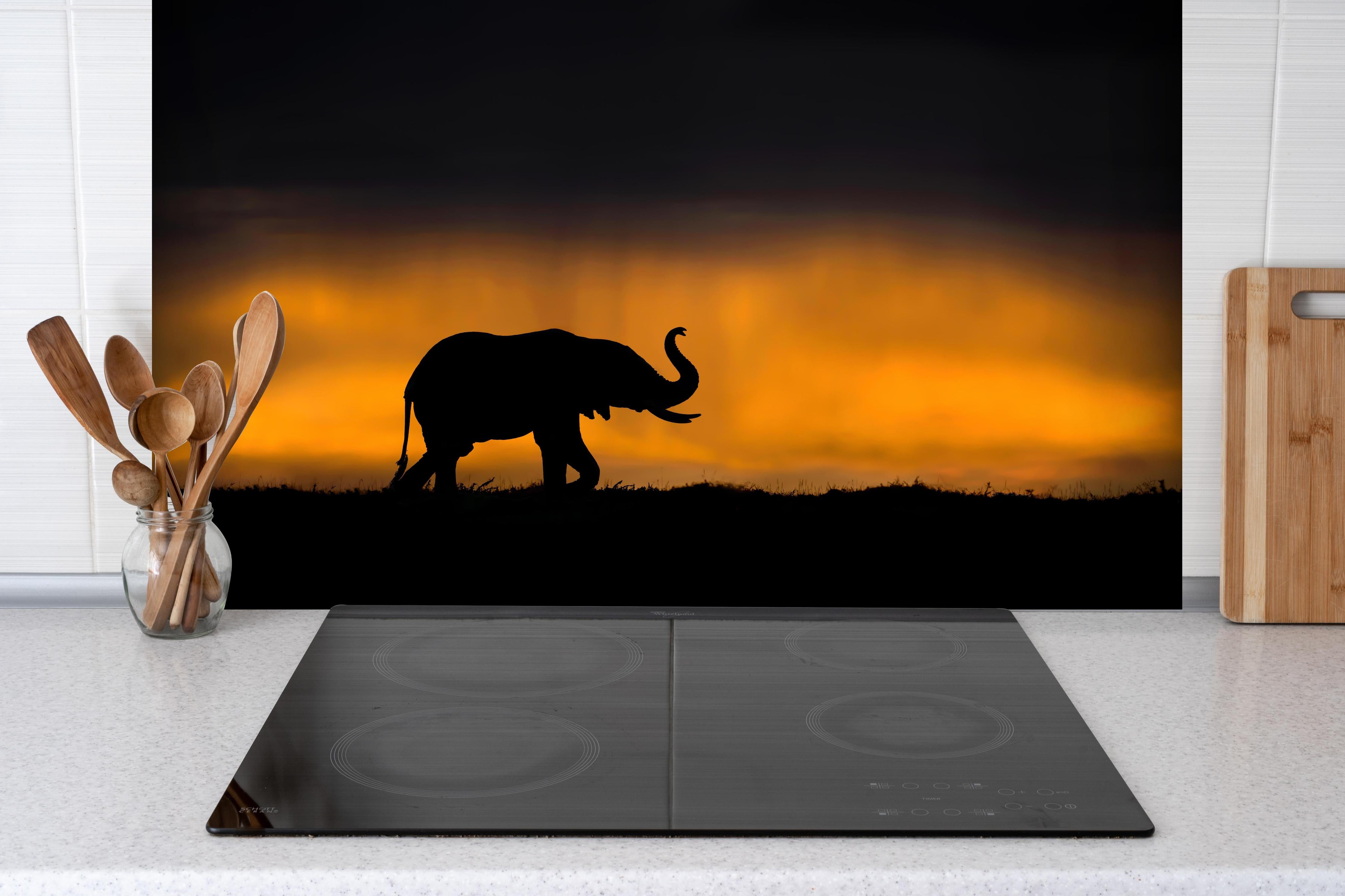 Spritzschutz - Elefant im Sturm hinter einem Cerankochfeld zwischen Holz-Kochutensilien