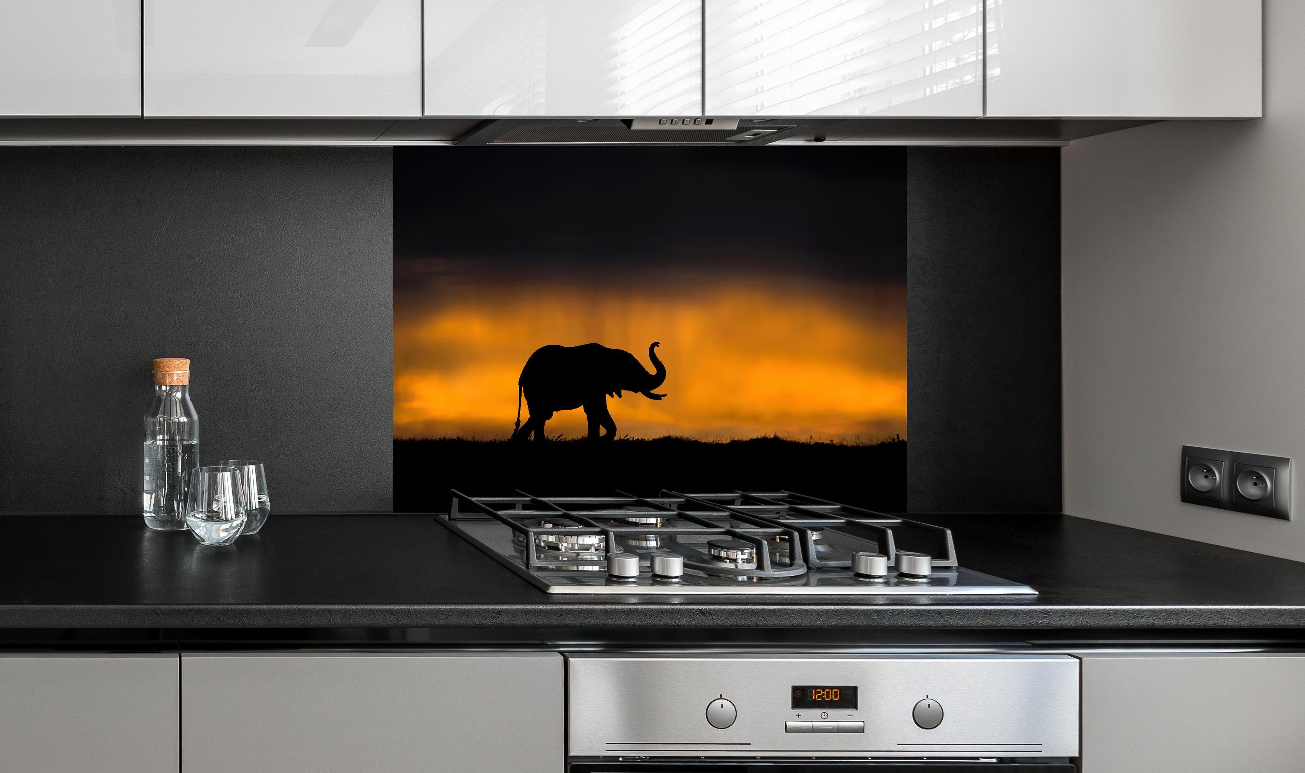 Spritzschutz - Elefant im Sturm hinter einem Cerankochfeld zwischen Holz-Kochutensilien