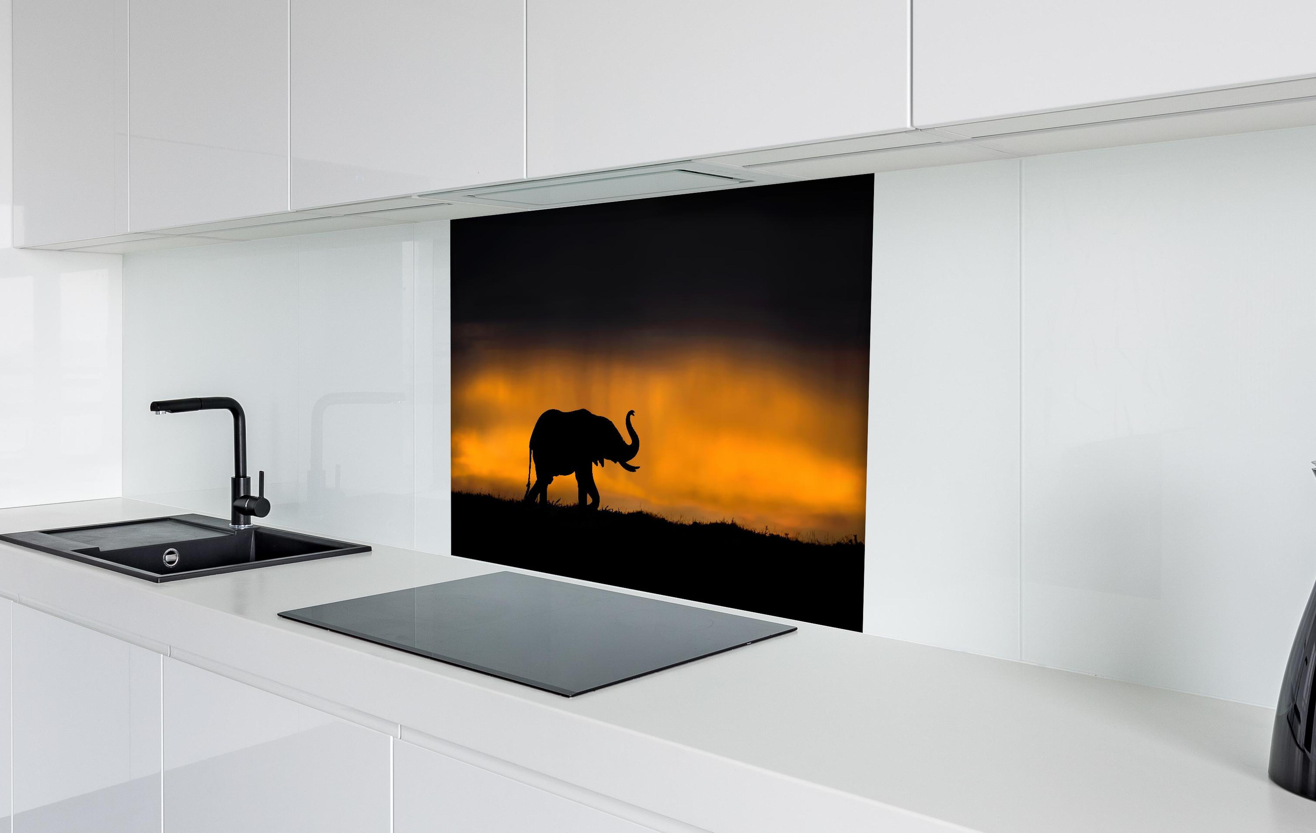 Spritzschutz - Elefant im Sturm hinter einem Cerankochfeld zwischen Holz-Kochutensilien