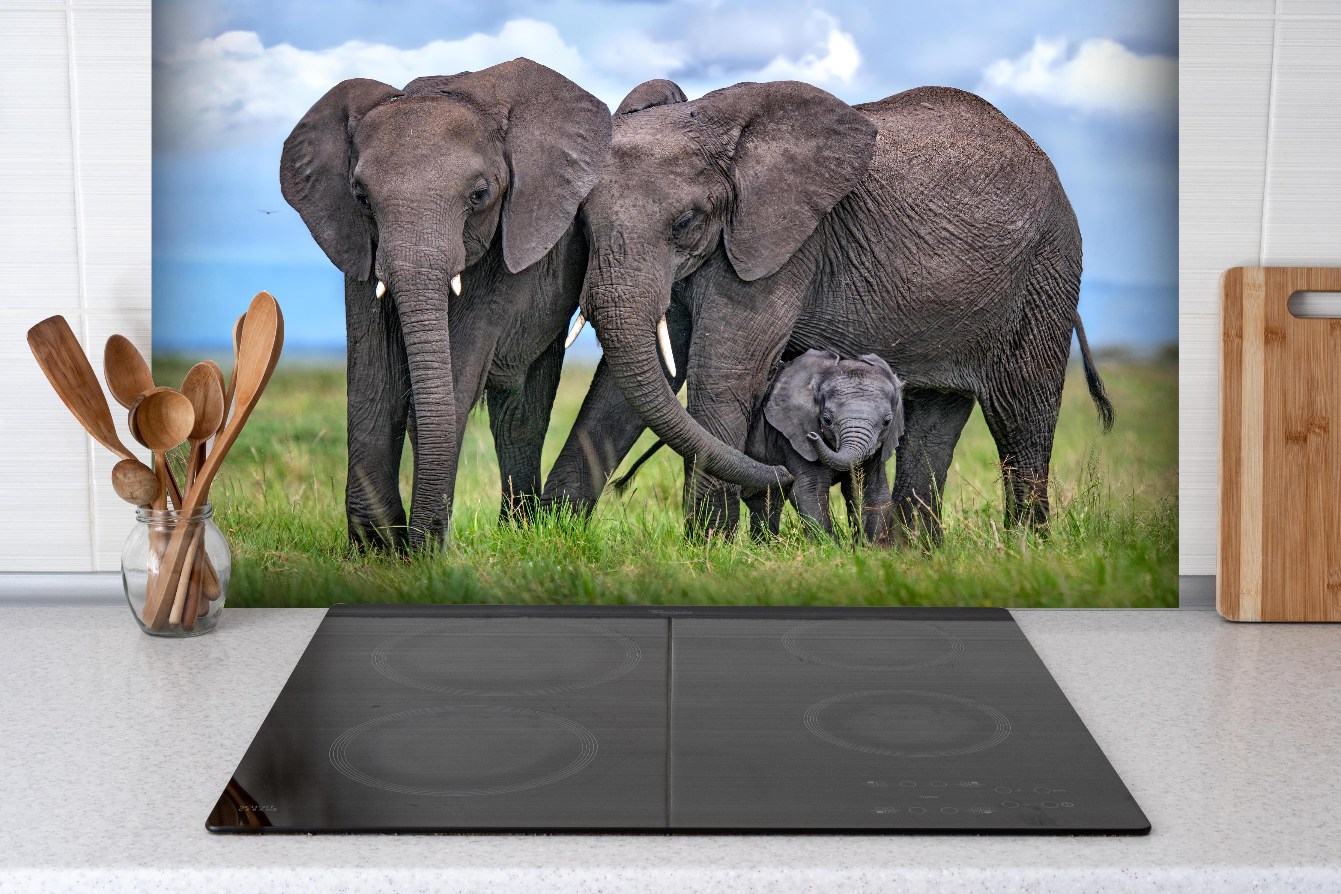 Spritzschutz - Elefanten Familie - Afrika hinter einem Cerankochfeld zwischen Holz-Kochutensilien