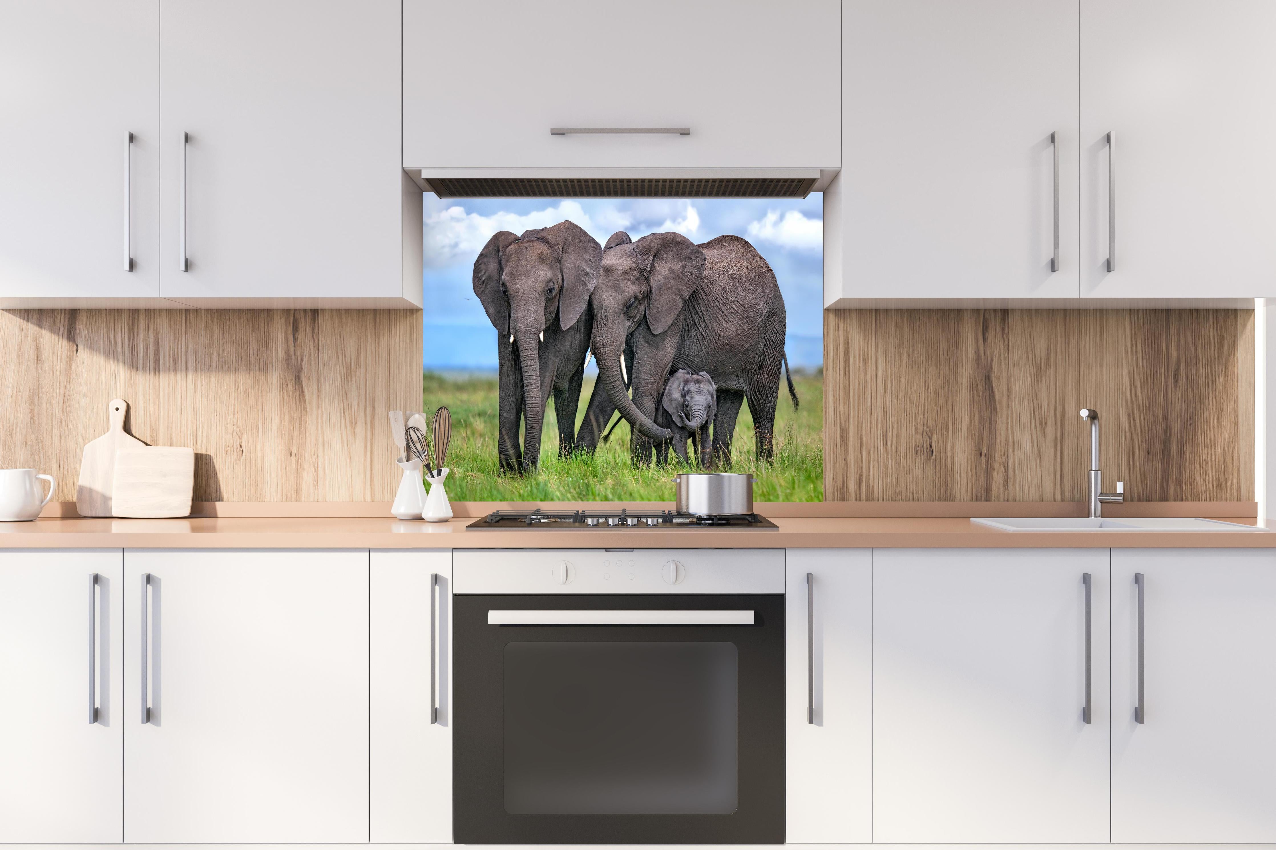 Spritzschutz - Elefanten Familie - Afrika hinter einem Cerankochfeld zwischen Holz-Kochutensilien