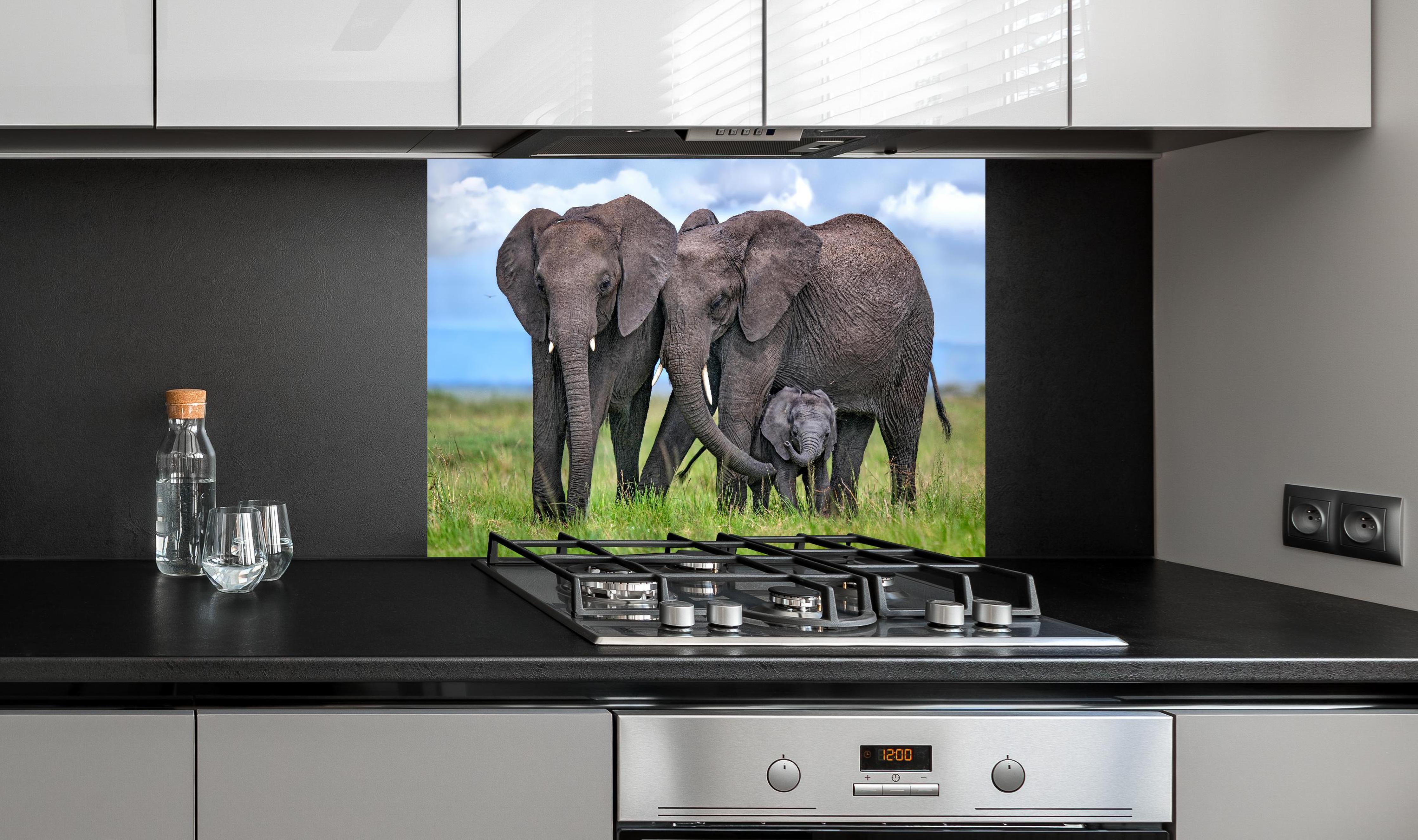 Spritzschutz - Elefanten Familie - Afrika hinter einem Cerankochfeld zwischen Holz-Kochutensilien