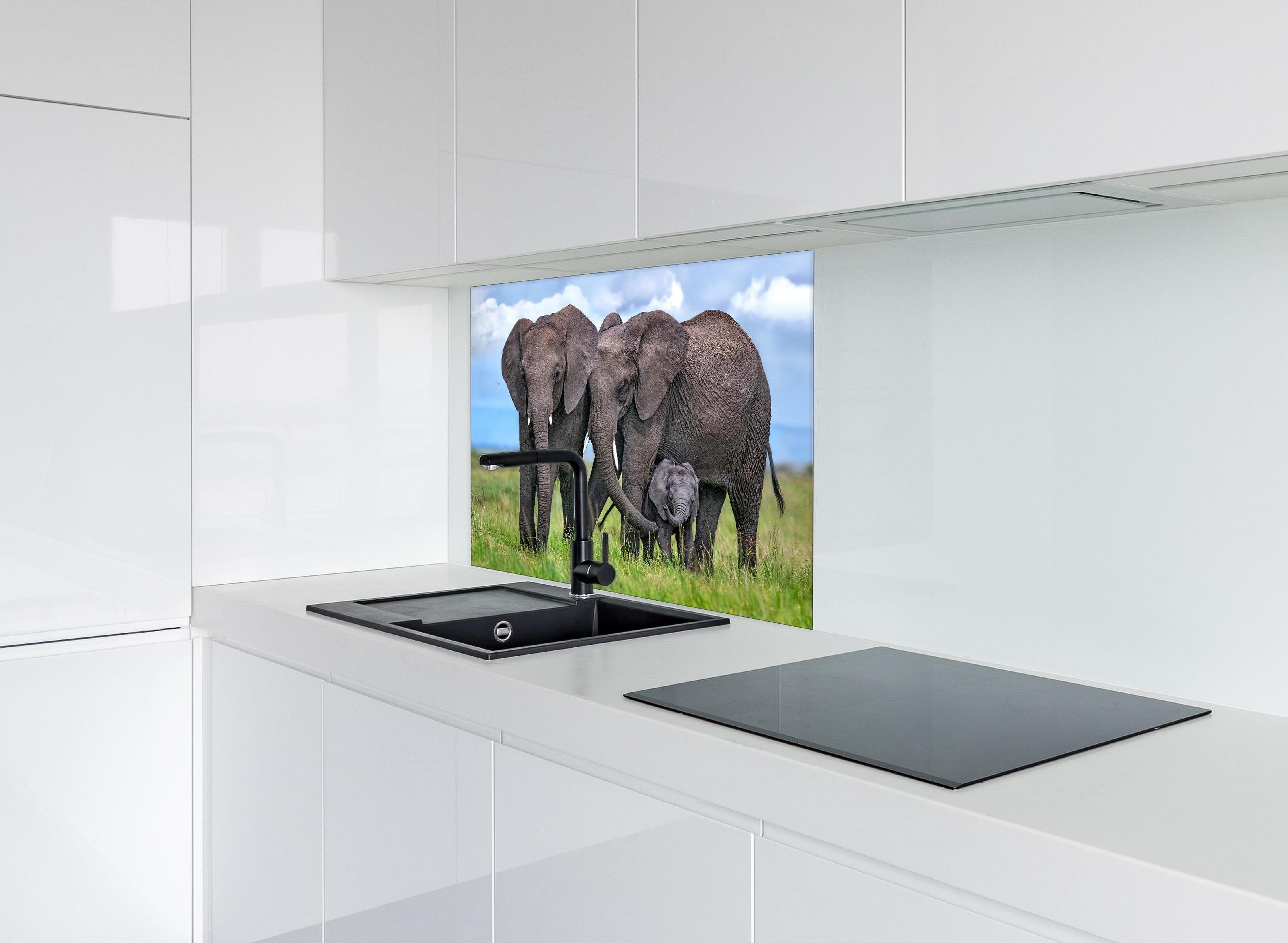 Spritzschutz - Elefanten Familie - Afrika hinter einem Cerankochfeld zwischen Holz-Kochutensilien