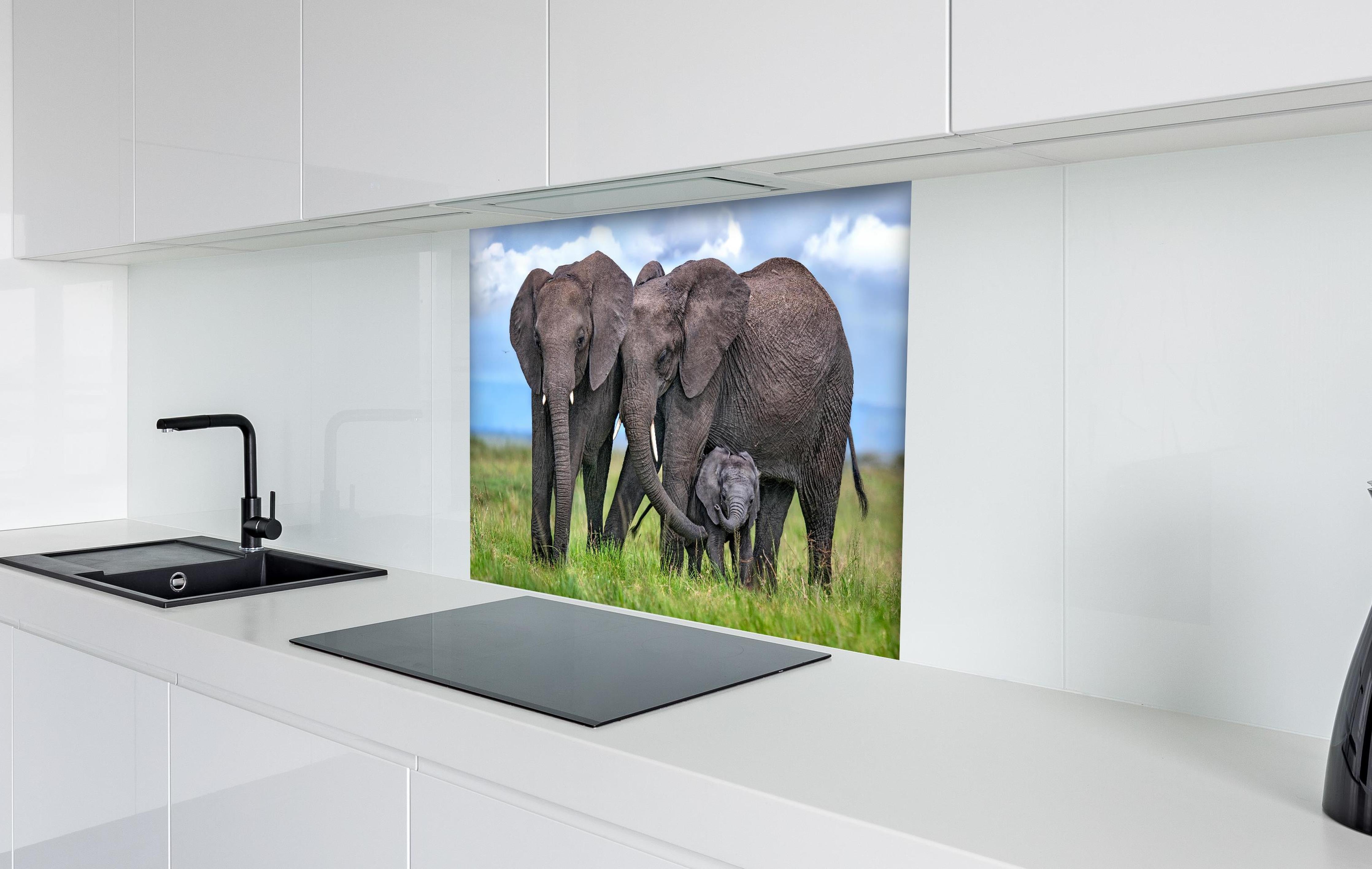 Spritzschutz - Elefanten Familie - Afrika hinter einem Cerankochfeld zwischen Holz-Kochutensilien