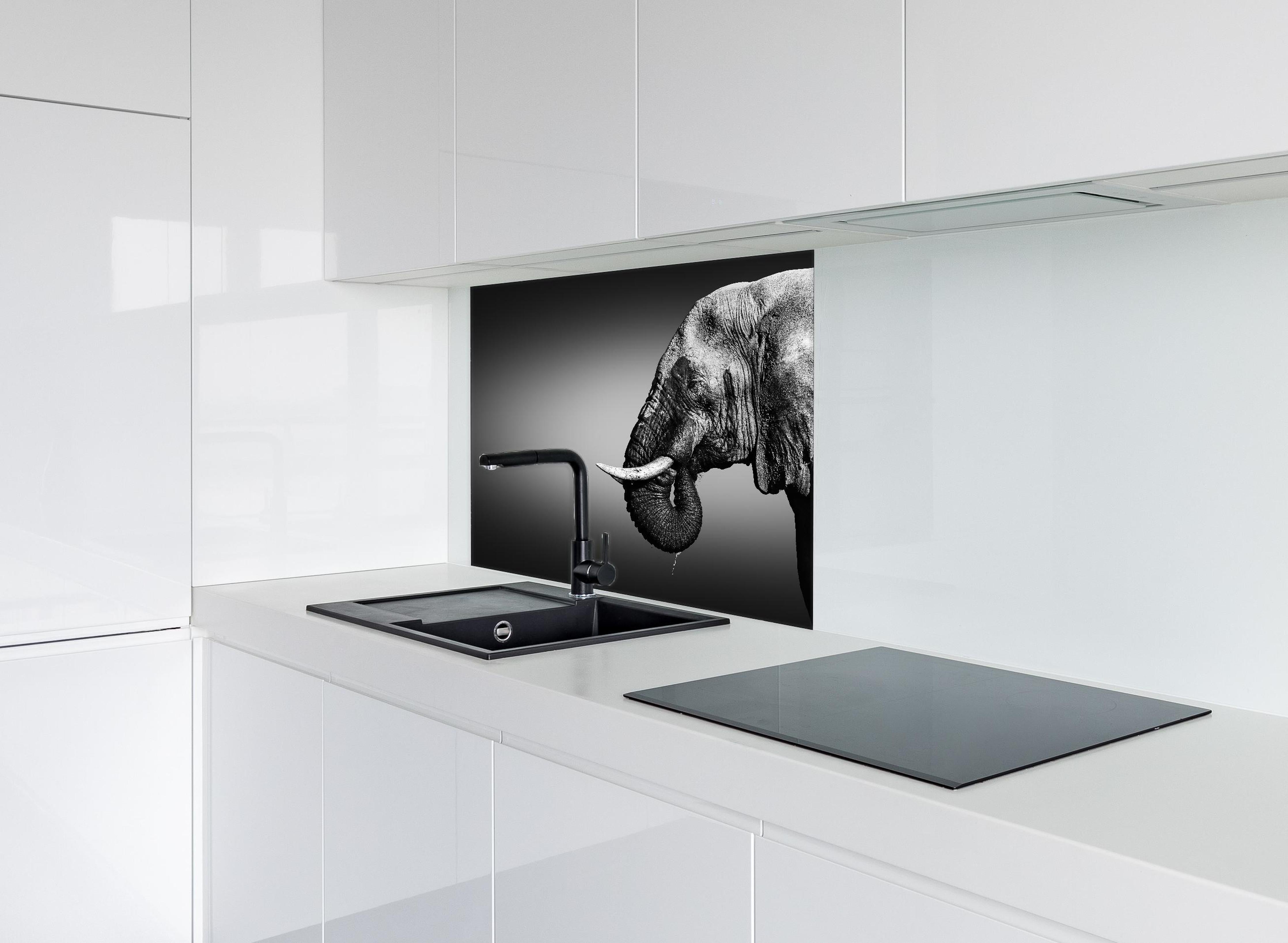 Spritzschutz - Elefanten Portrait hinter einem Cerankochfeld zwischen Holz-Kochutensilien