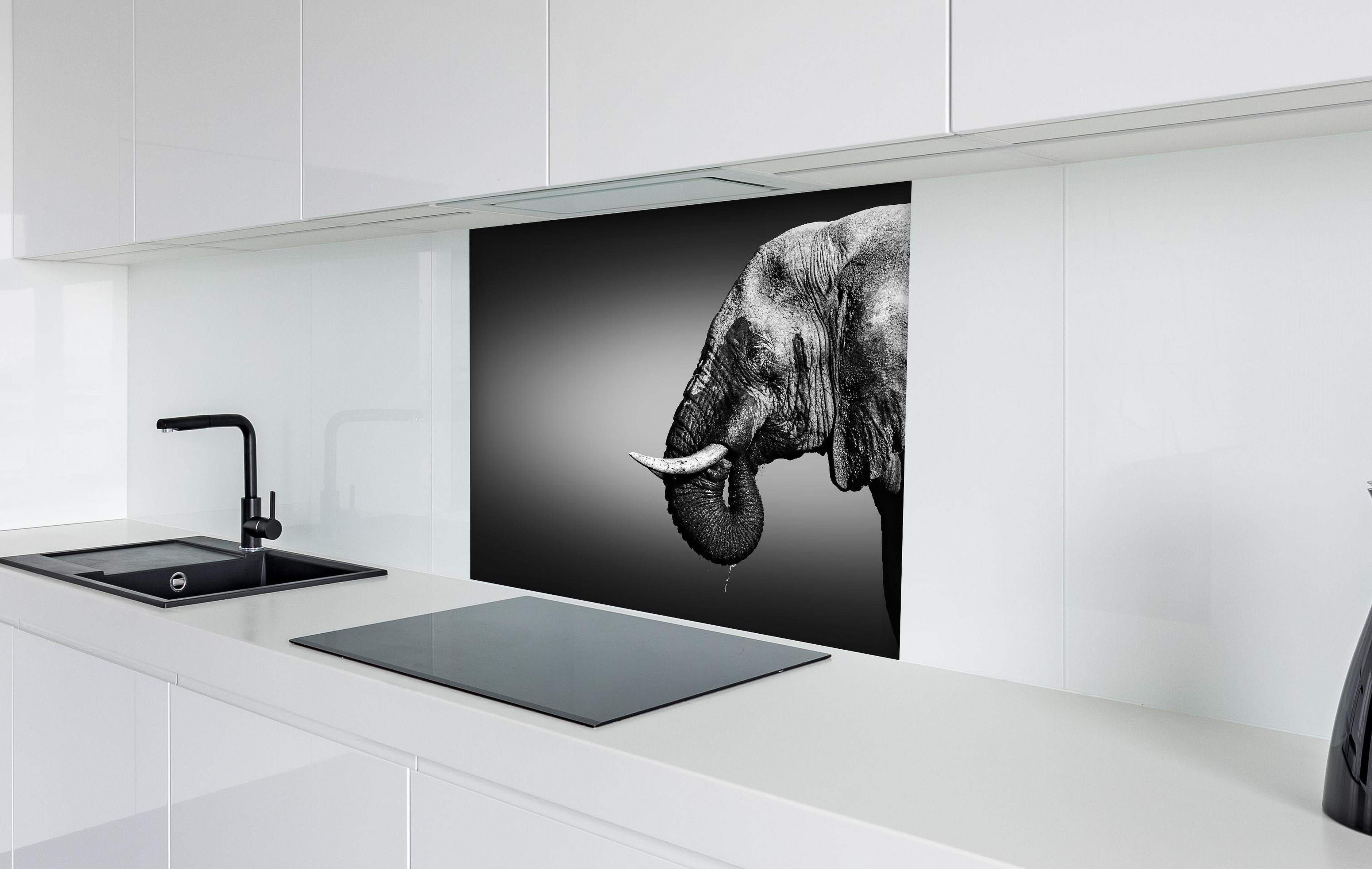 Spritzschutz - Elefanten Portrait hinter einem Cerankochfeld zwischen Holz-Kochutensilien