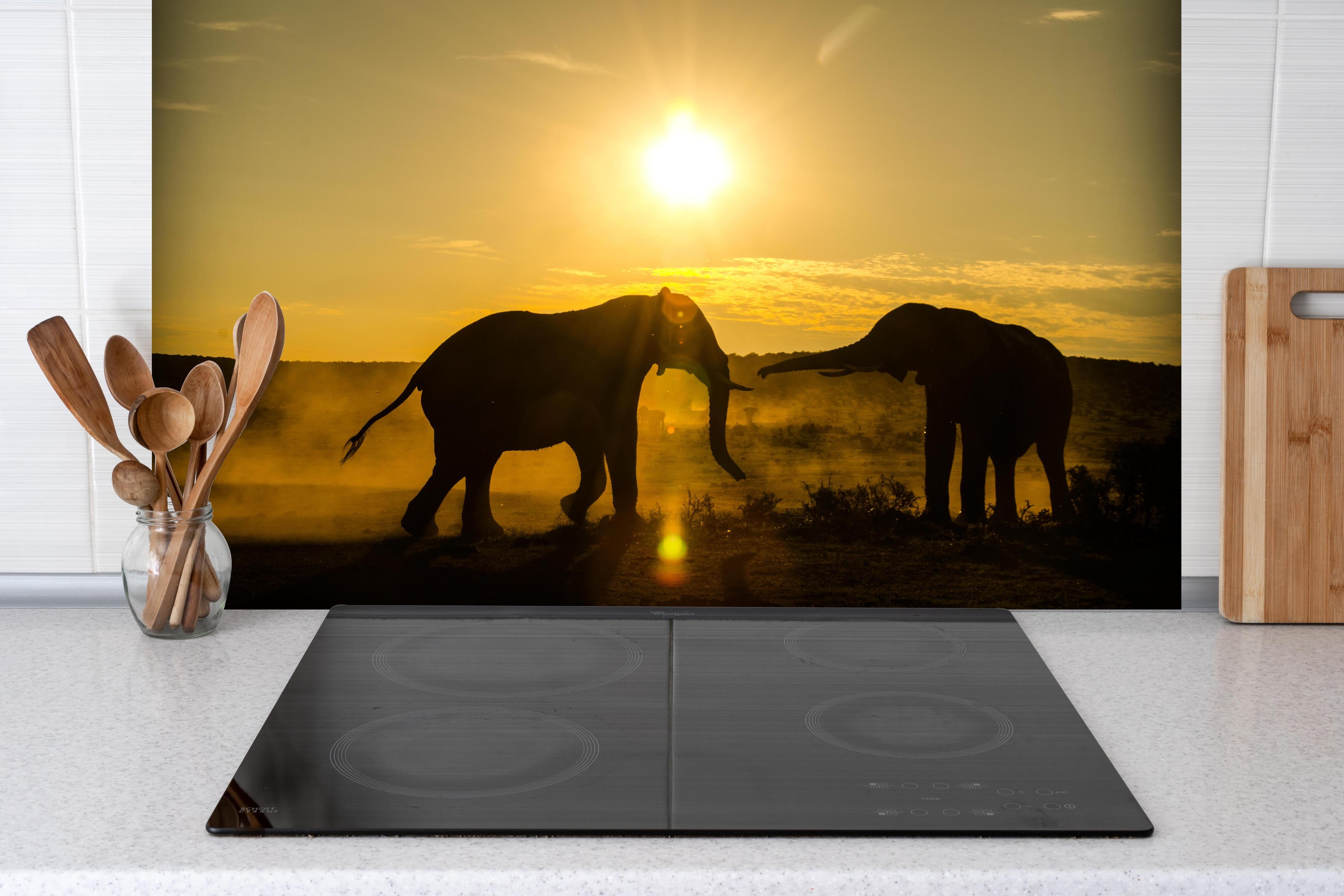 Spritzschutz - Elefanten bei Sonnenuntergang hinter einem Cerankochfeld zwischen Holz-Kochutensilien