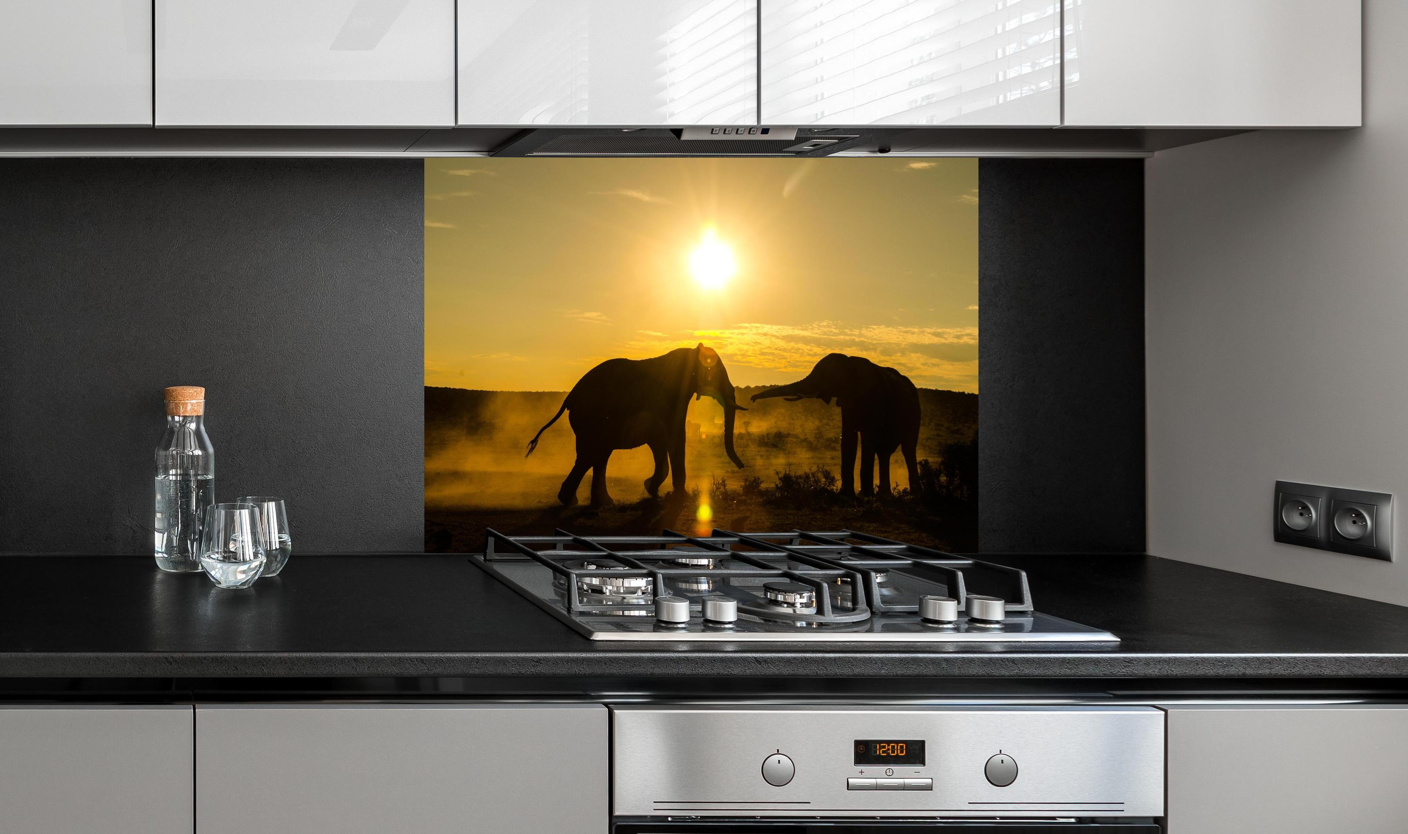 Spritzschutz - Elefanten bei Sonnenuntergang hinter einem Cerankochfeld zwischen Holz-Kochutensilien
