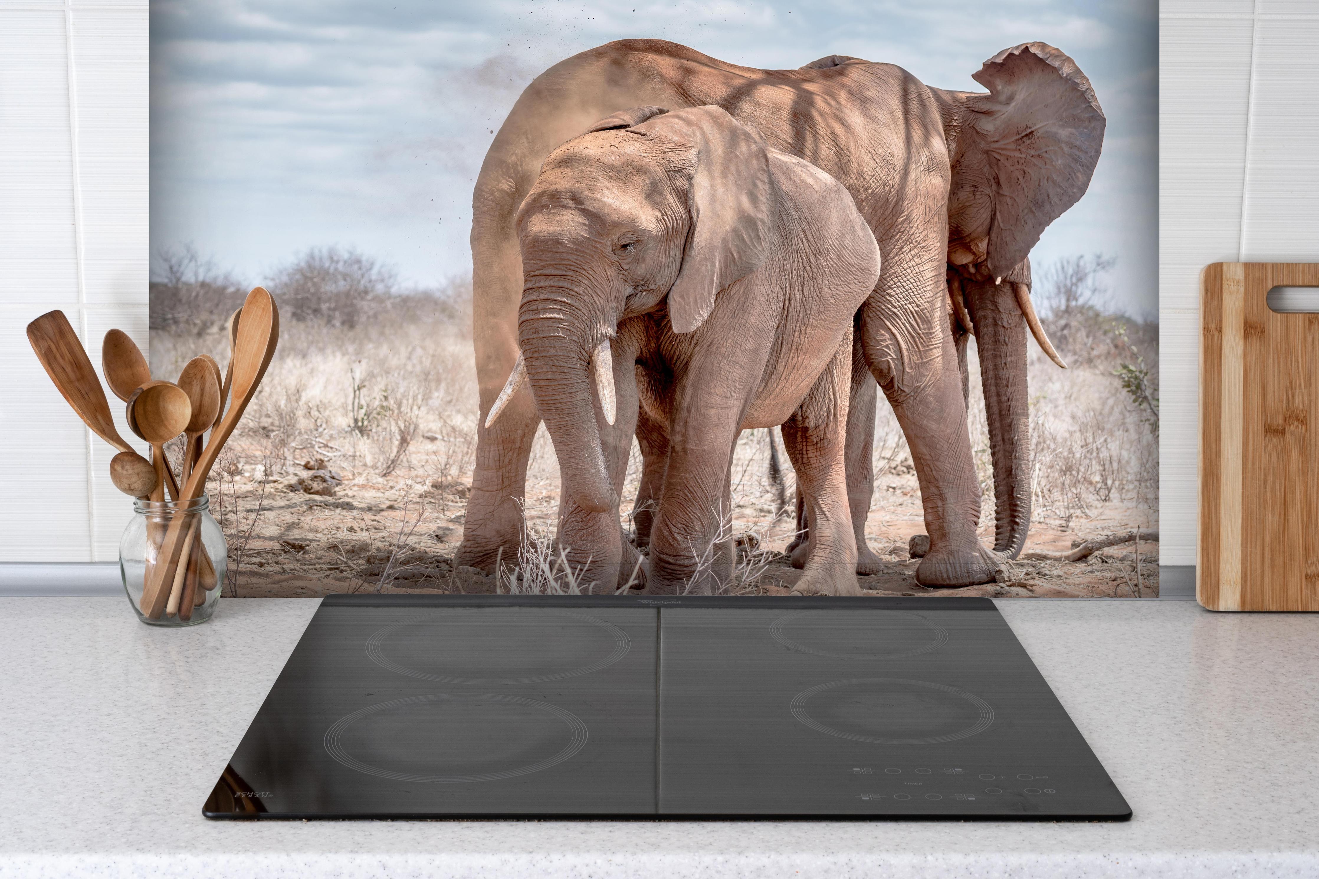 Spritzschutz - Elefanten von Tsavo hinter einem Cerankochfeld zwischen Holz-Kochutensilien