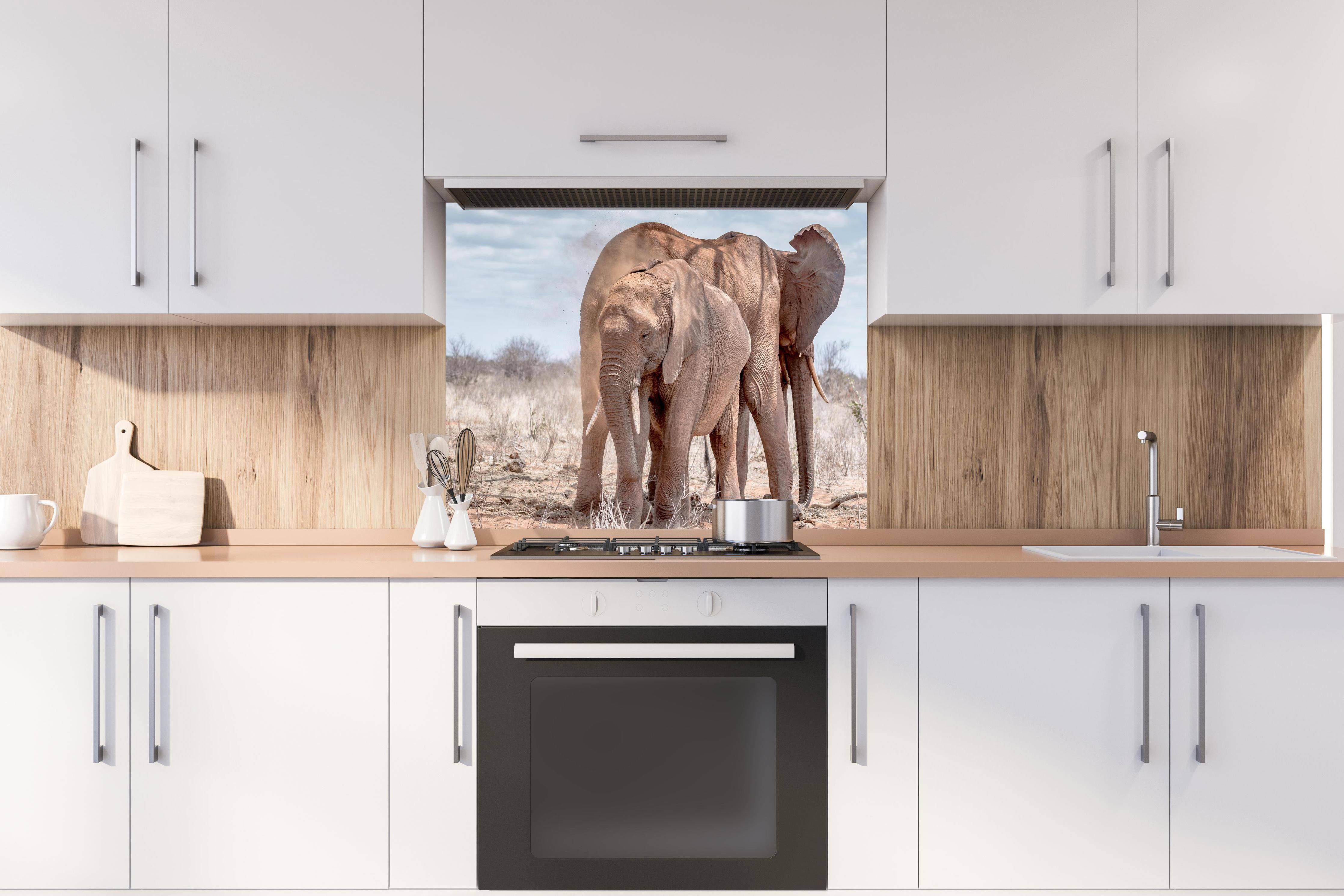 Spritzschutz - Elefanten von Tsavo hinter einem Cerankochfeld zwischen Holz-Kochutensilien