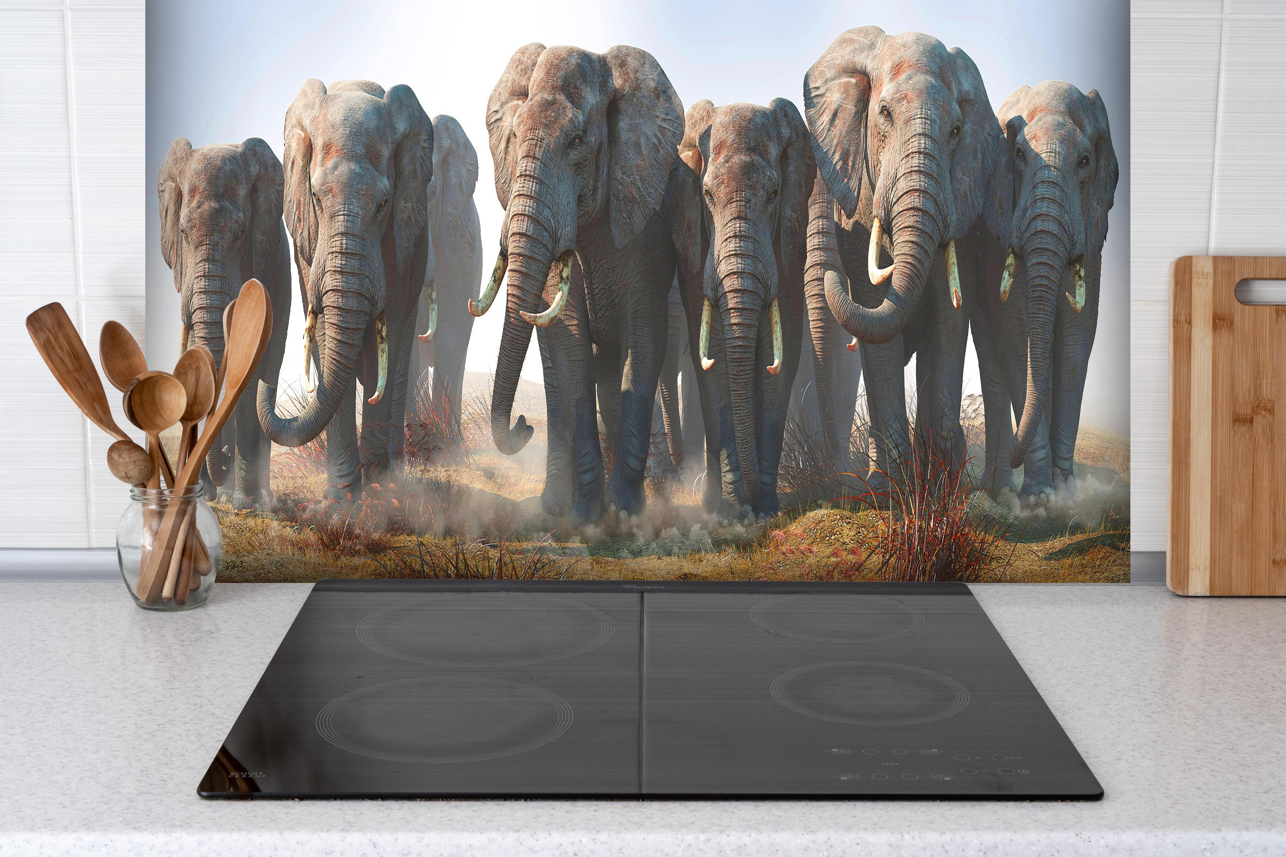 Spritzschutz - Elefantenherde in der Wüste hinter einem Cerankochfeld zwischen Holz-Kochutensilien