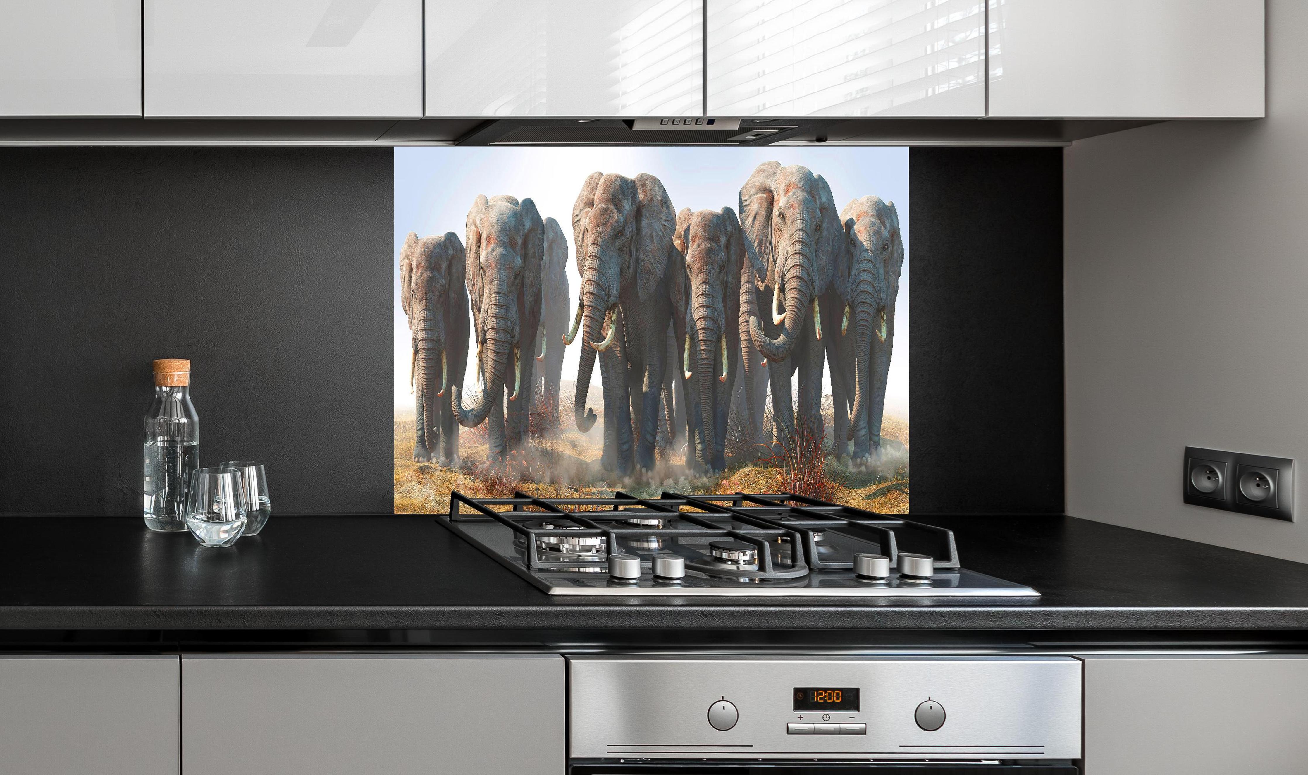 Spritzschutz - Elefantenherde in der Wüste hinter einem Cerankochfeld zwischen Holz-Kochutensilien