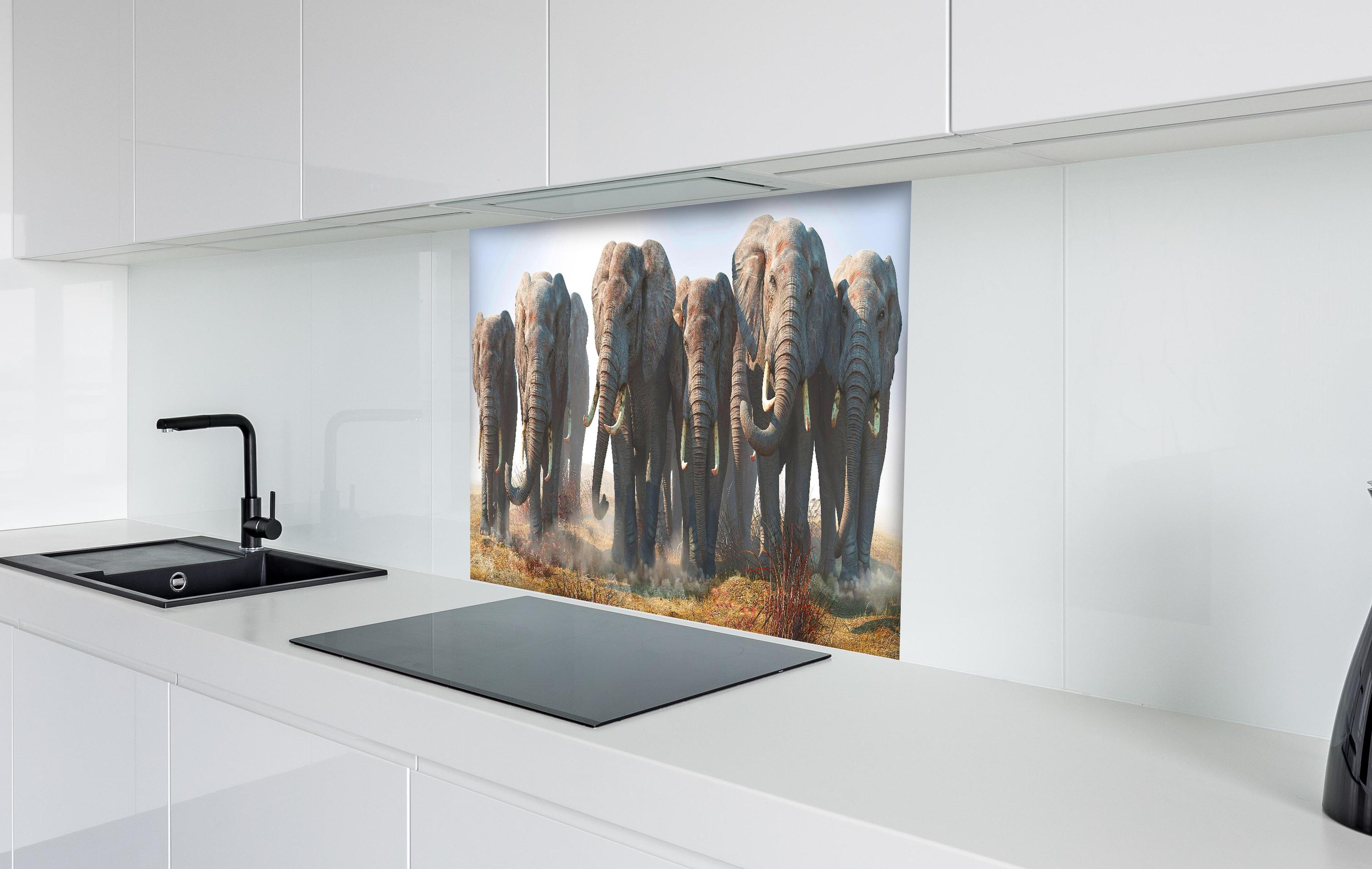 Spritzschutz - Elefantenherde in der Wüste hinter einem Cerankochfeld zwischen Holz-Kochutensilien