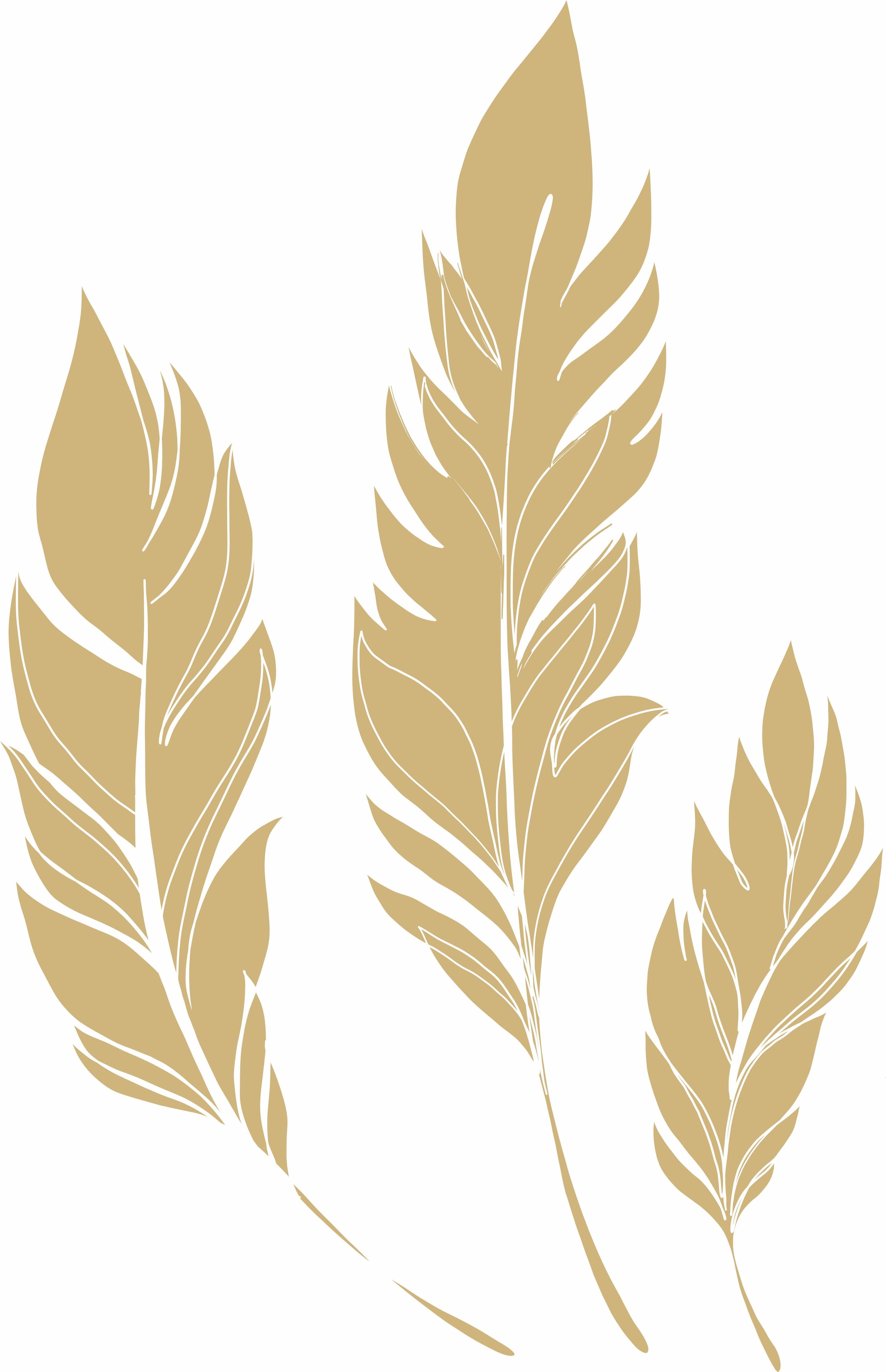 Spritzschutz-Elegante Goldfarbene Feder-Formen Set