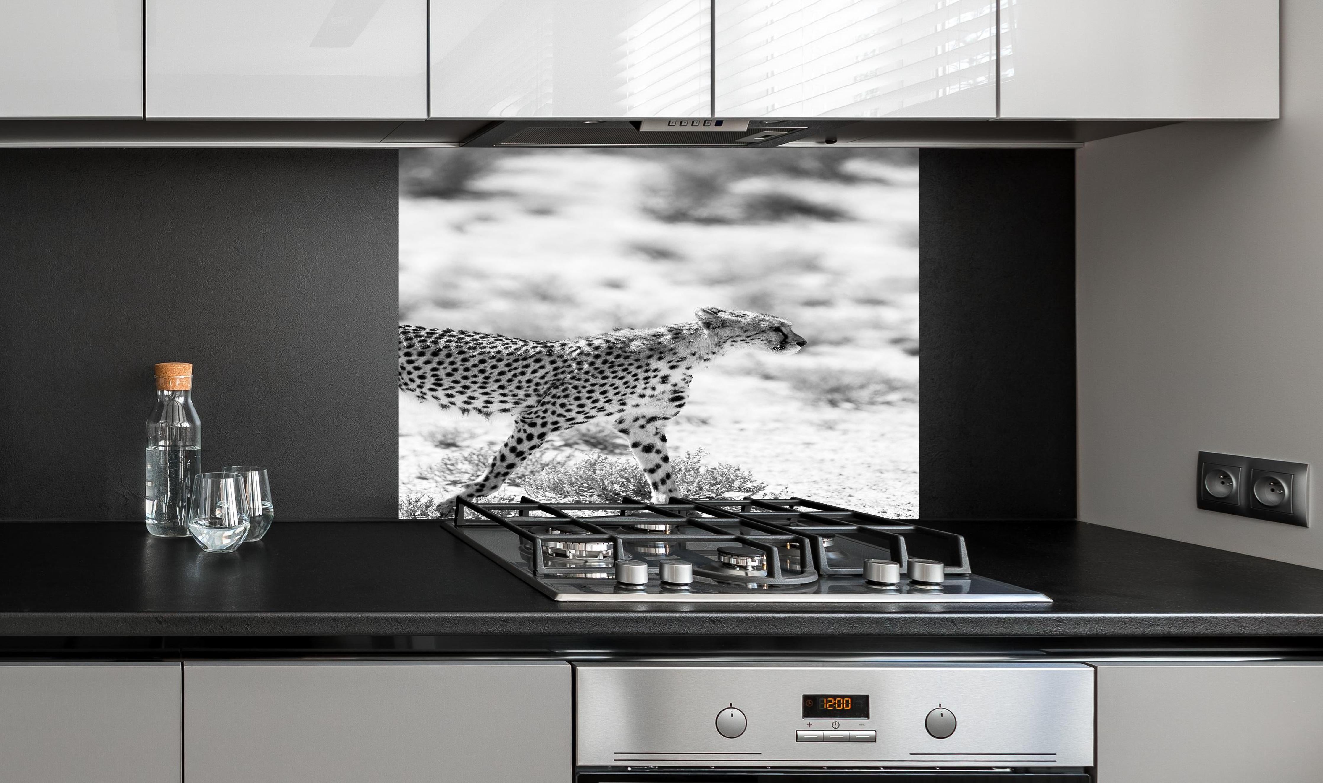 Spritzschutz - Eleganter Gepard in monochromer Darstellung hinter einem Cerankochfeld zwischen Holz-Kochutensilien