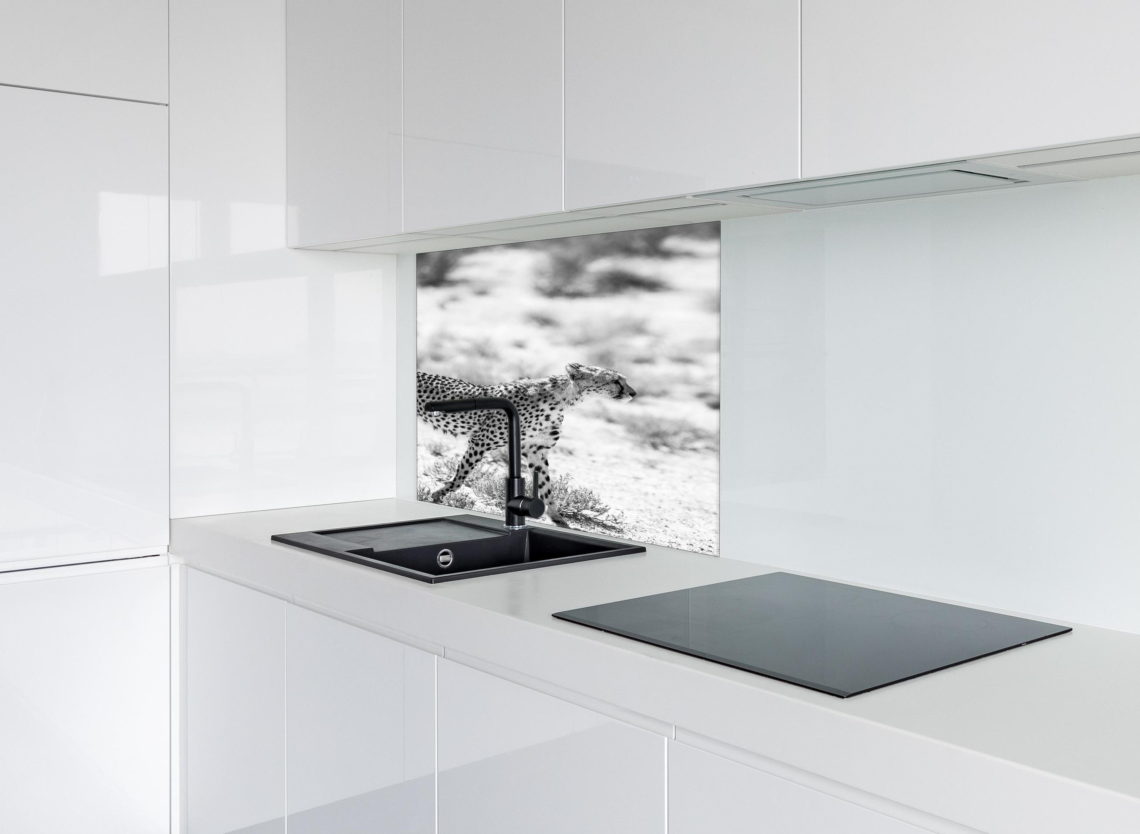 Spritzschutz - Eleganter Gepard in monochromer Darstellung hinter einem Cerankochfeld zwischen Holz-Kochutensilien