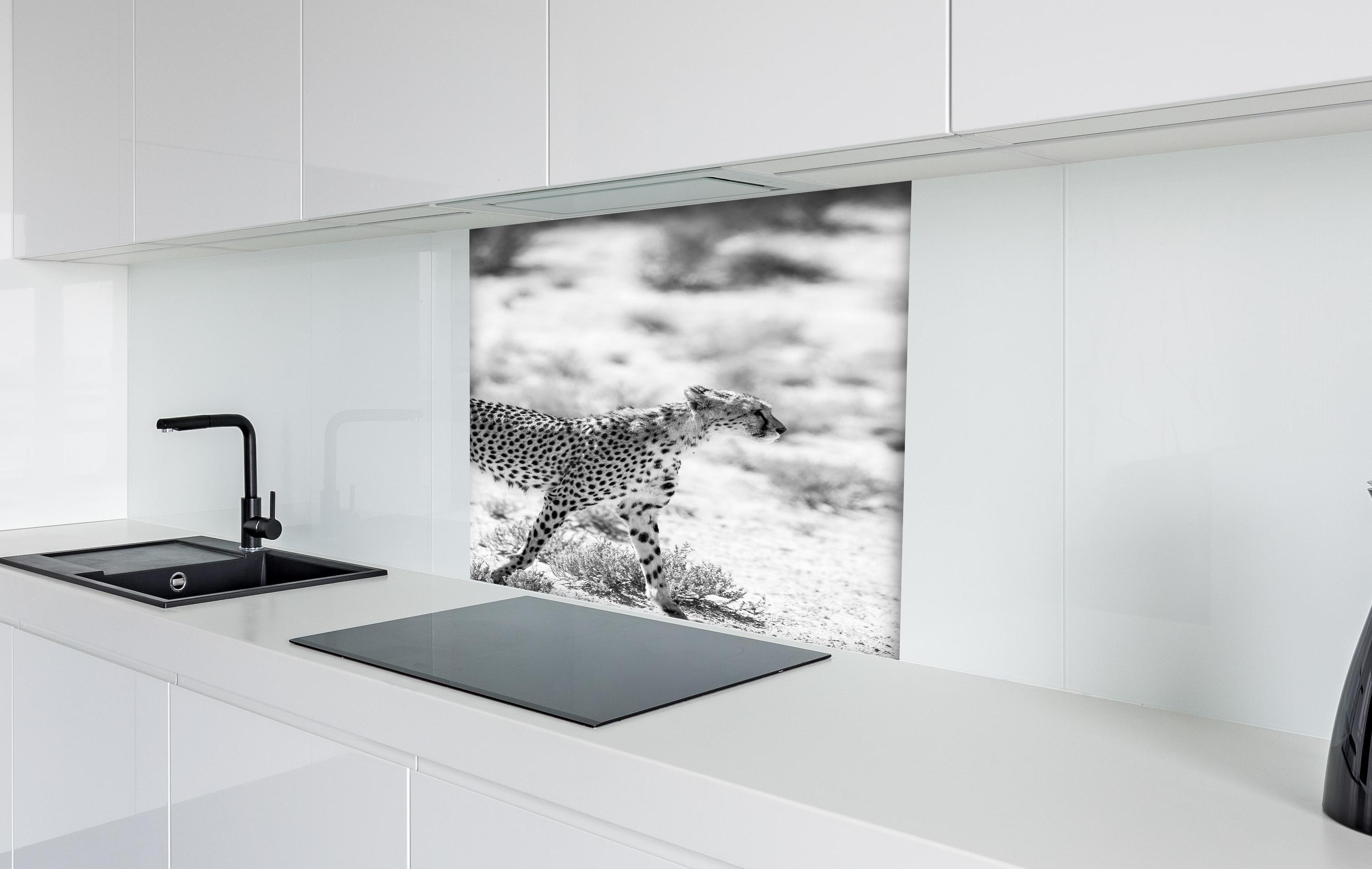 Spritzschutz - Eleganter Gepard in monochromer Darstellung hinter einem Cerankochfeld zwischen Holz-Kochutensilien