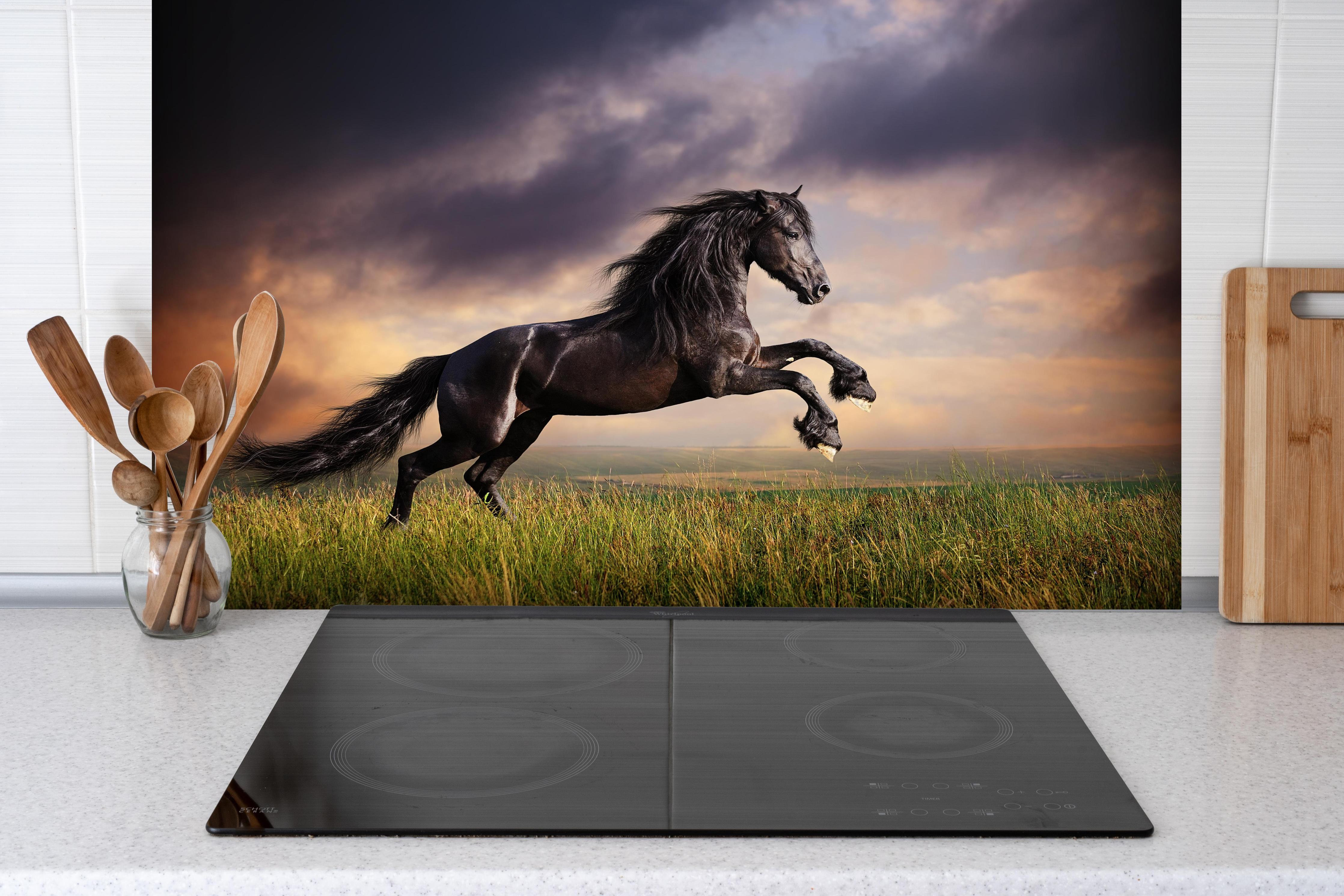 Spritzschutz - Elegantes Schwarzes Friesenpferd im Galopp hinter einem Cerankochfeld zwischen Holz-Kochutensilien