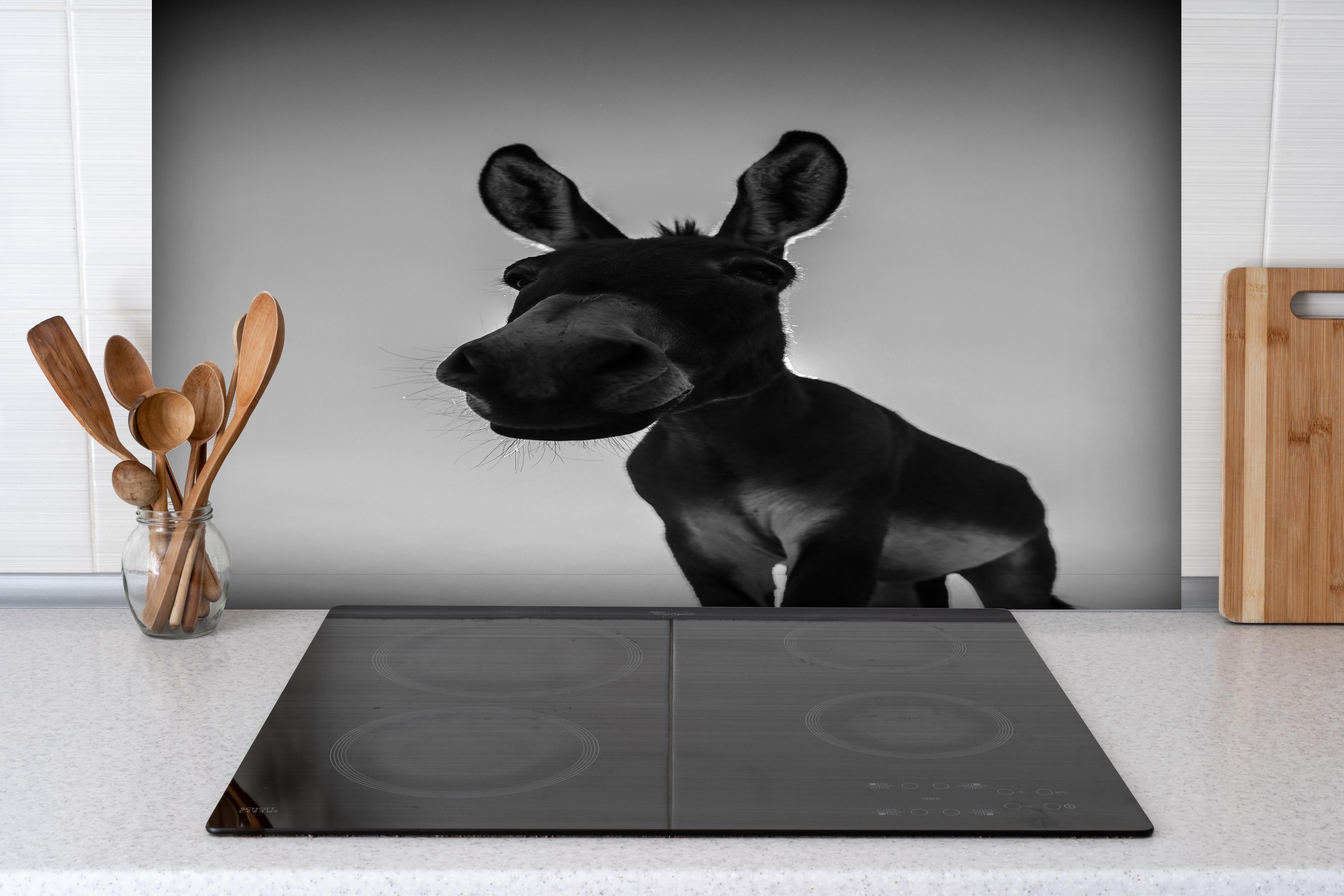 Spritzschutz - Esel - schwarz-weiß hinter einem Cerankochfeld zwischen Holz-Kochutensilien