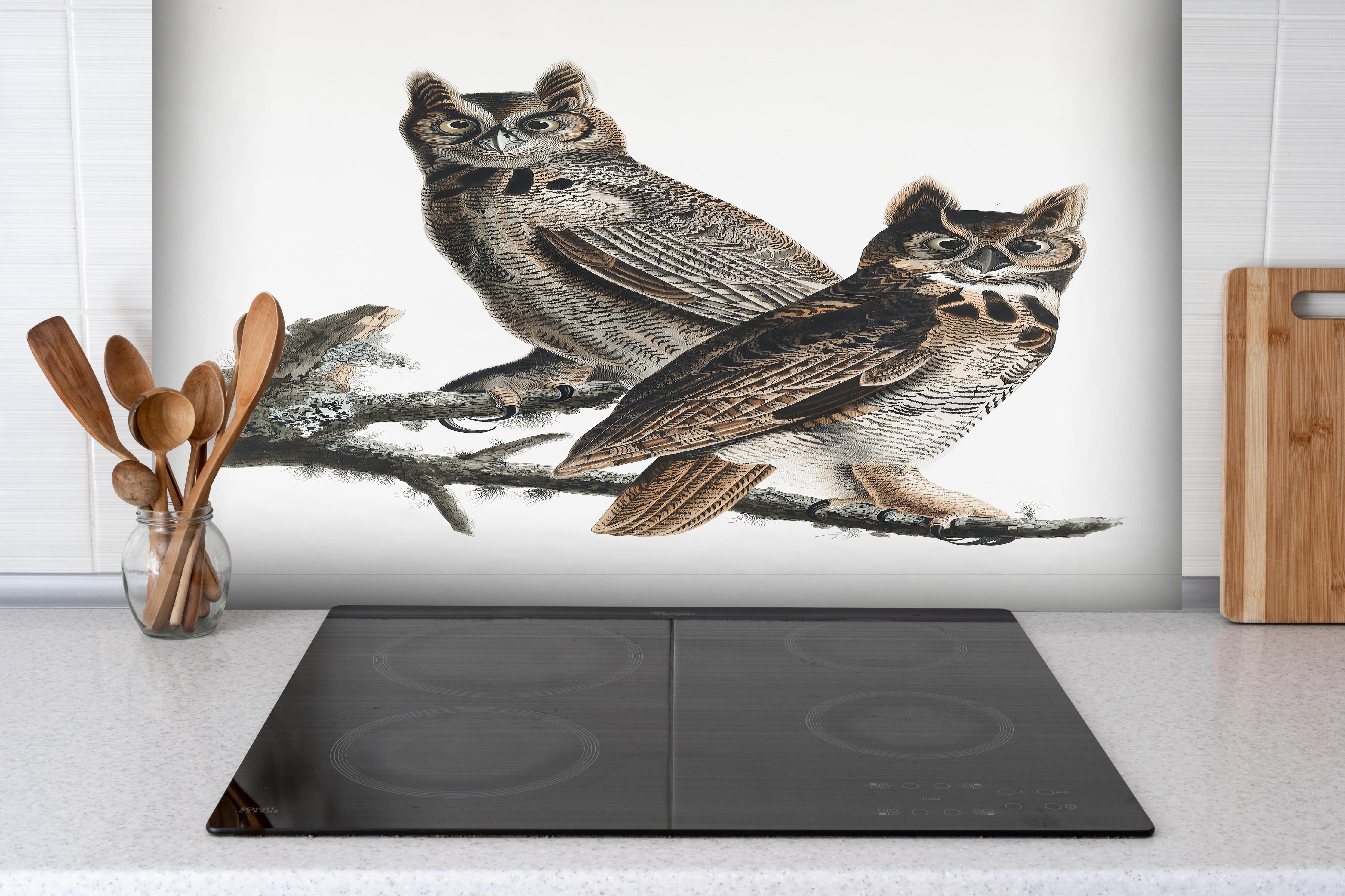 Spritzschutz - Eulen Portrait - Robert Havell hinter einem Cerankochfeld zwischen Holz-Kochutensilien