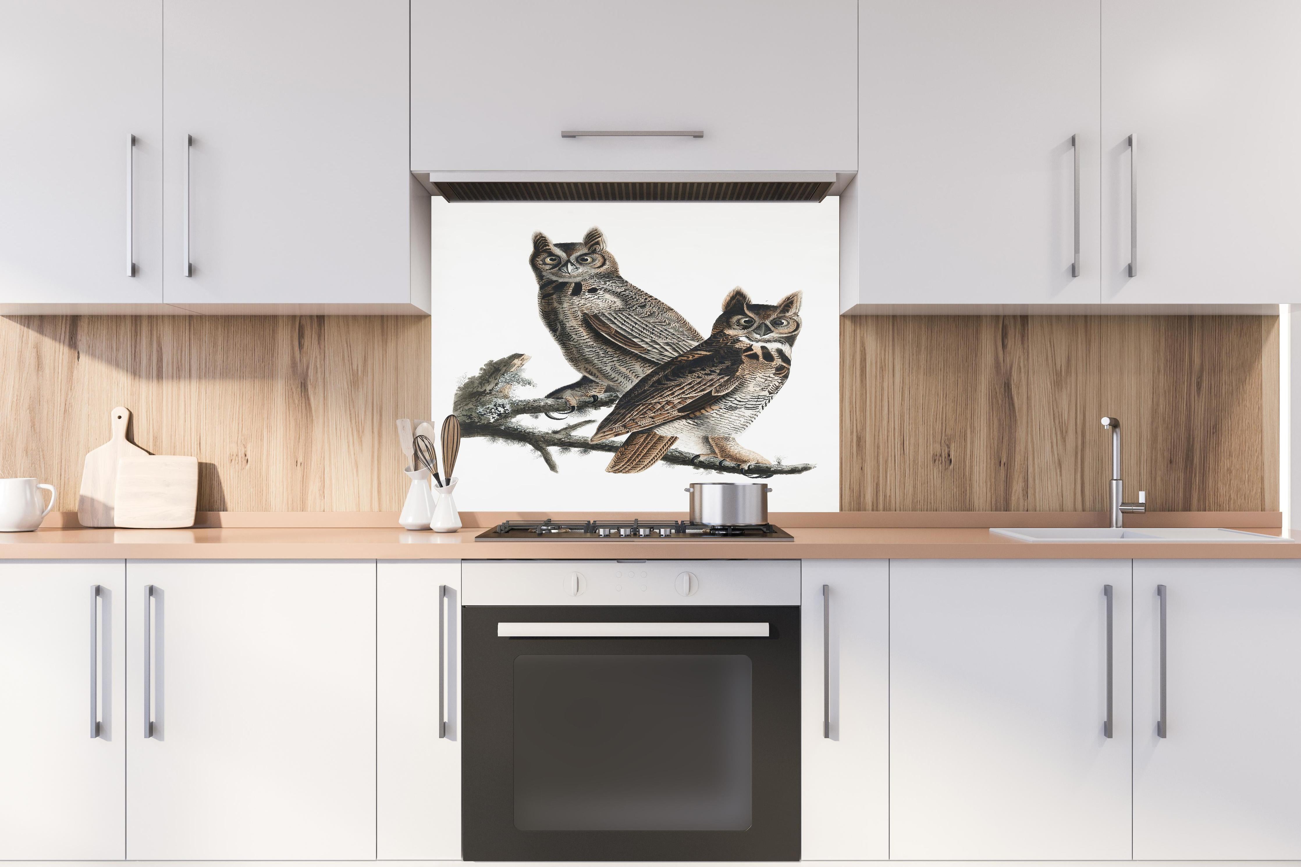 Spritzschutz - Eulen Portrait - Robert Havell hinter einem Cerankochfeld zwischen Holz-Kochutensilien