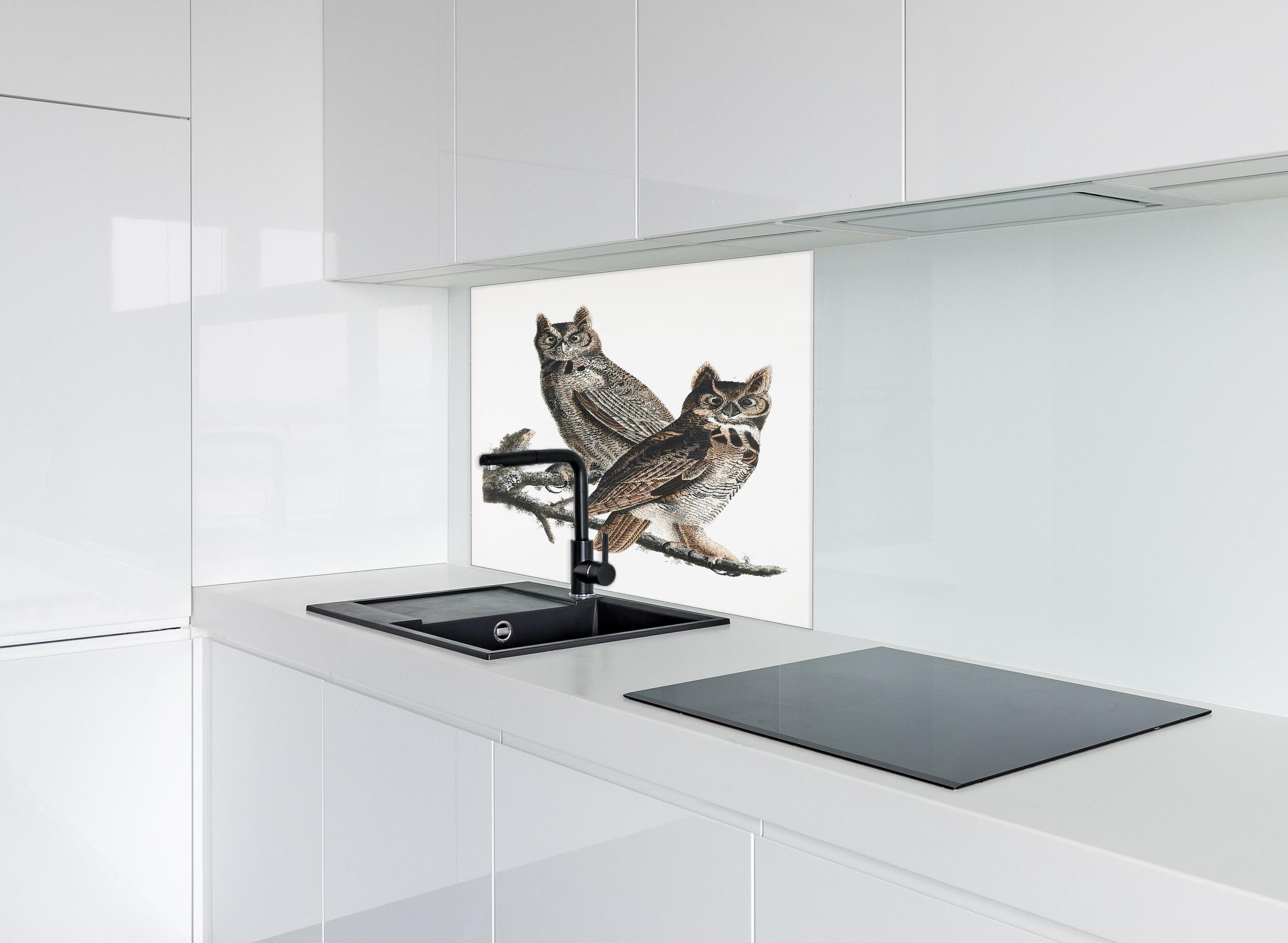 Spritzschutz - Eulen Portrait - Robert Havell hinter einem Cerankochfeld zwischen Holz-Kochutensilien